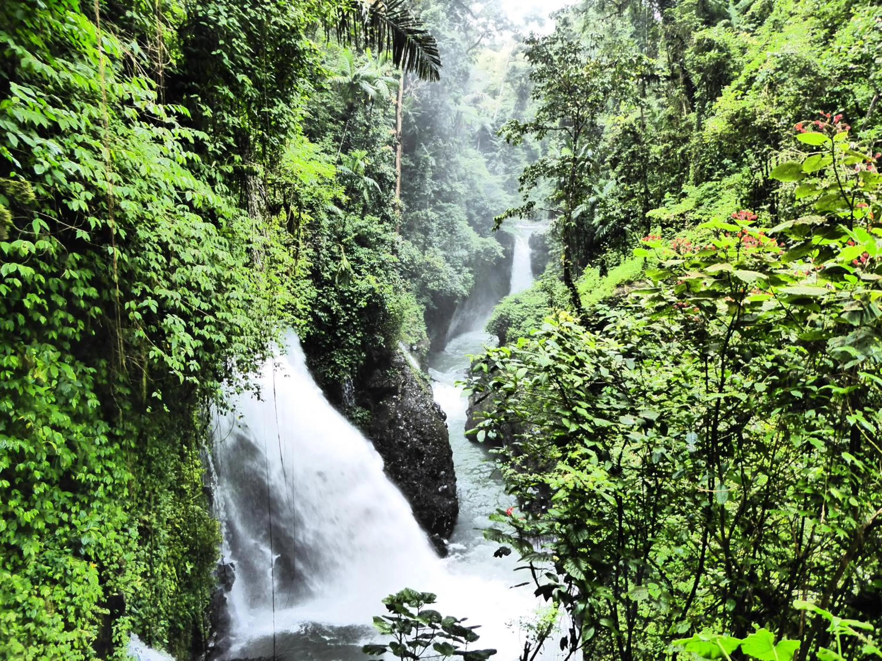 Hiking in Shibui Garden Bungalows and Restaurant