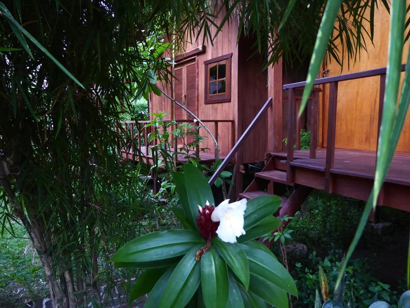 Garden in Shibui Garden Bungalows and Restaurant