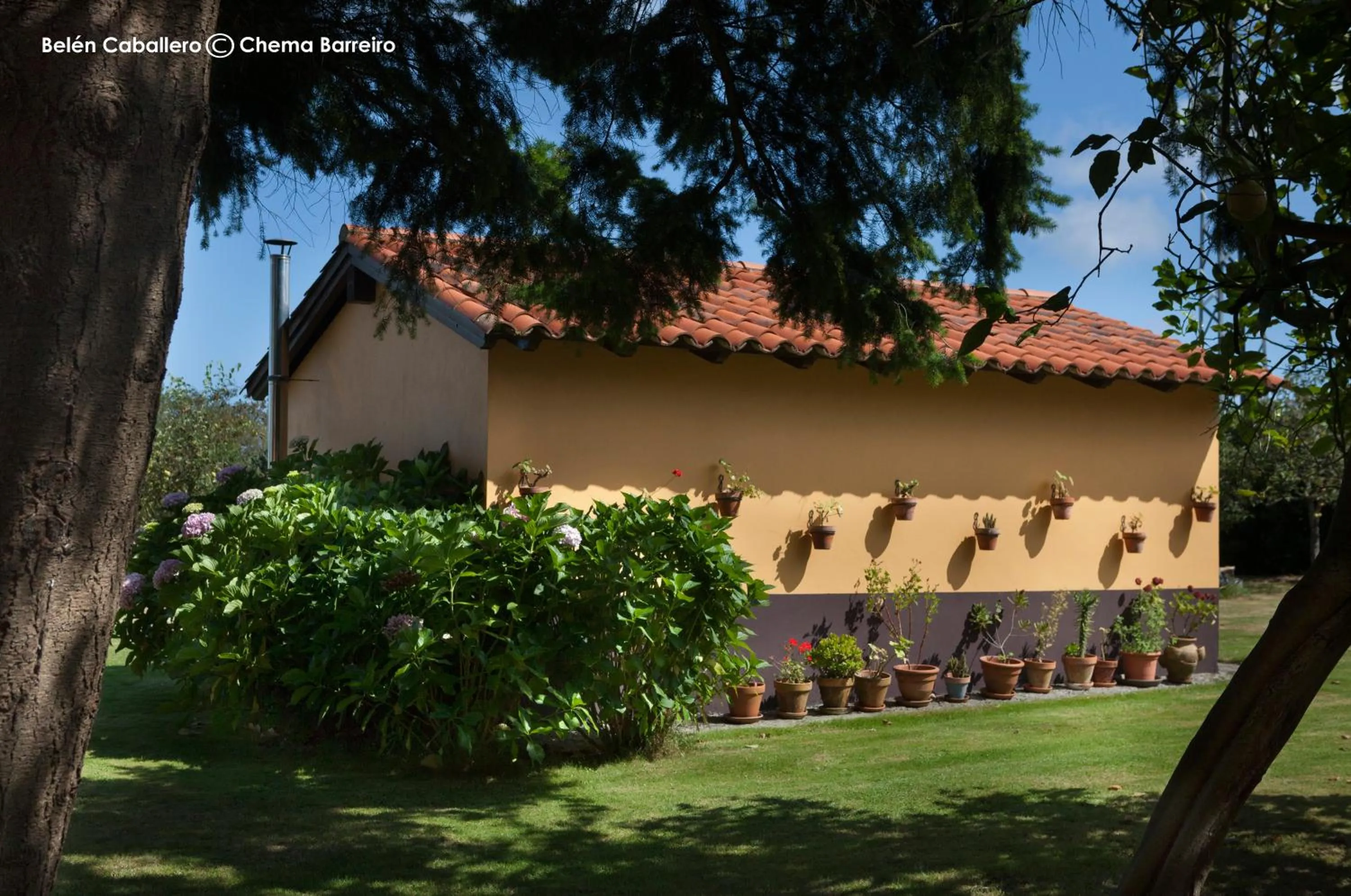 Garden in La Casona de Quintes