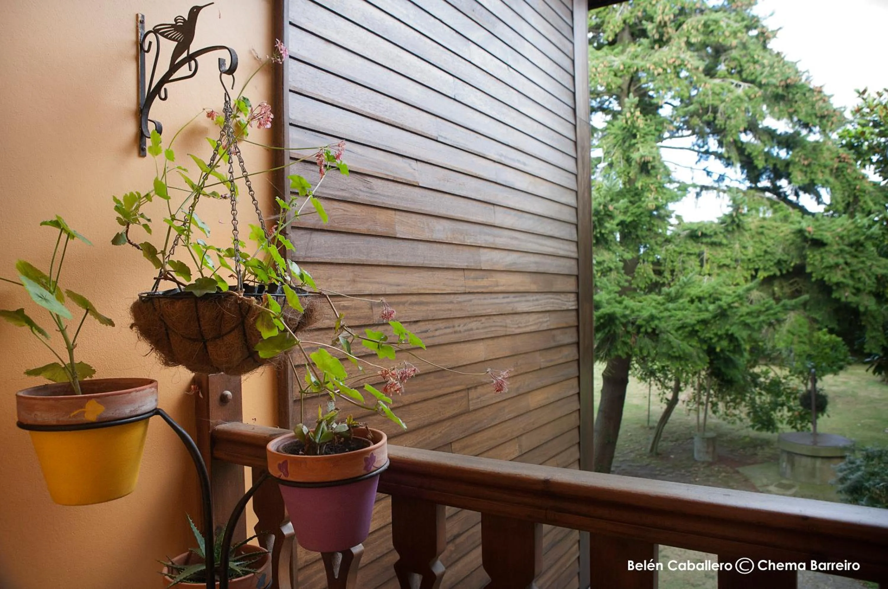 Balcony/Terrace in La Casona de Quintes