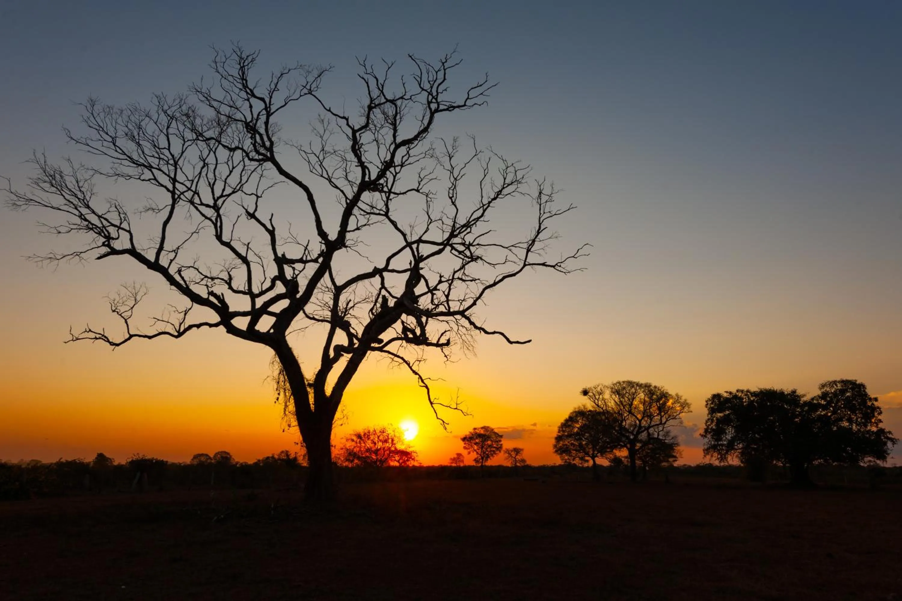 Natural landscape in Pousada Rio Claro