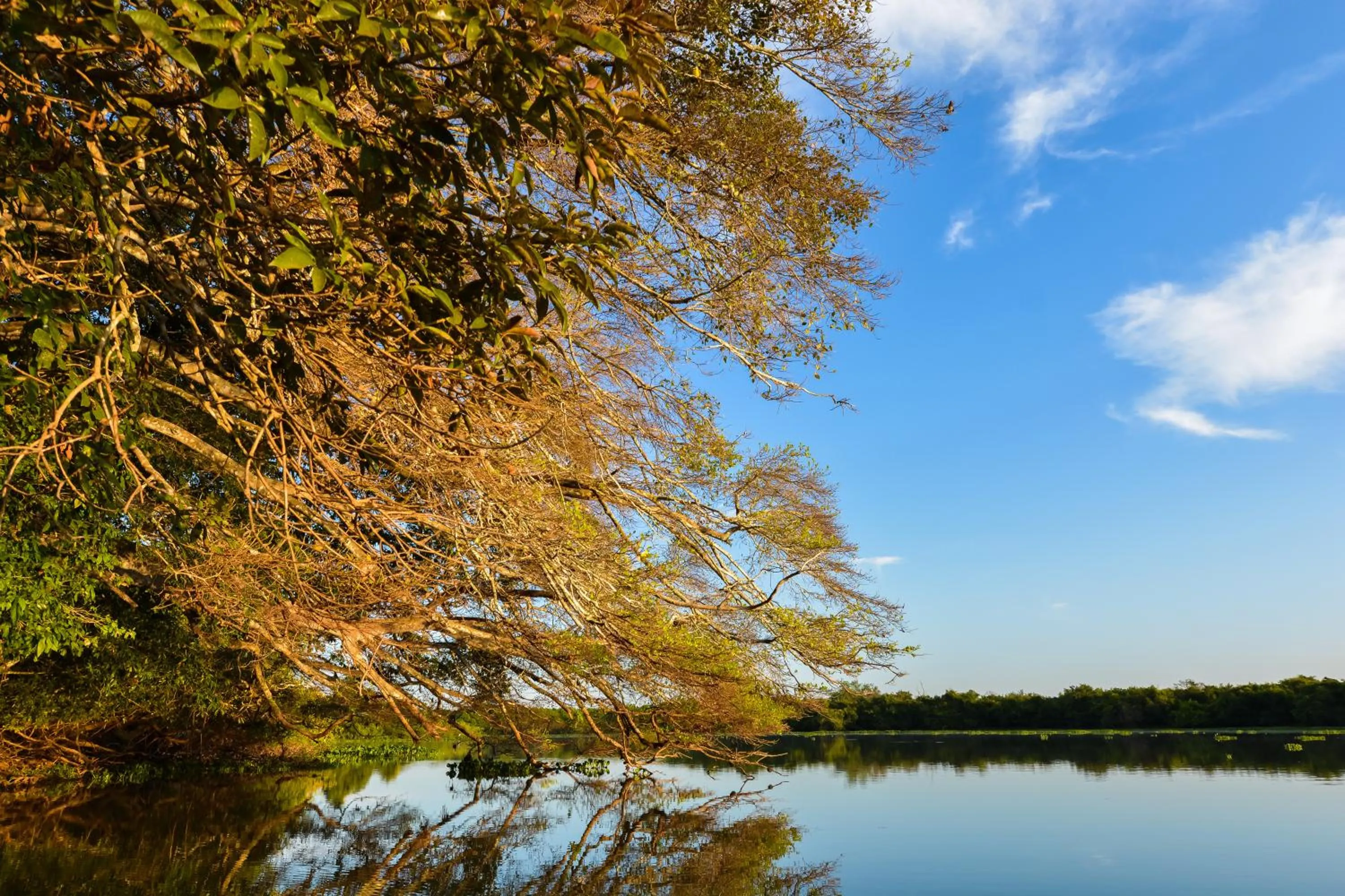 Natural landscape in Pousada Rio Claro