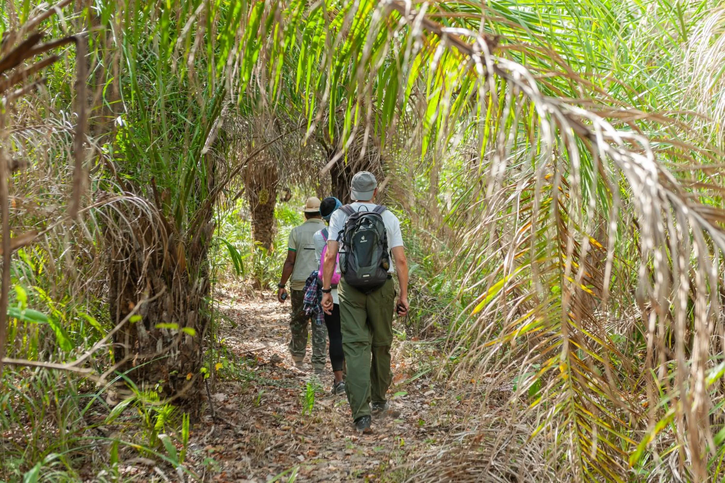 Hiking in Pousada Rio Claro