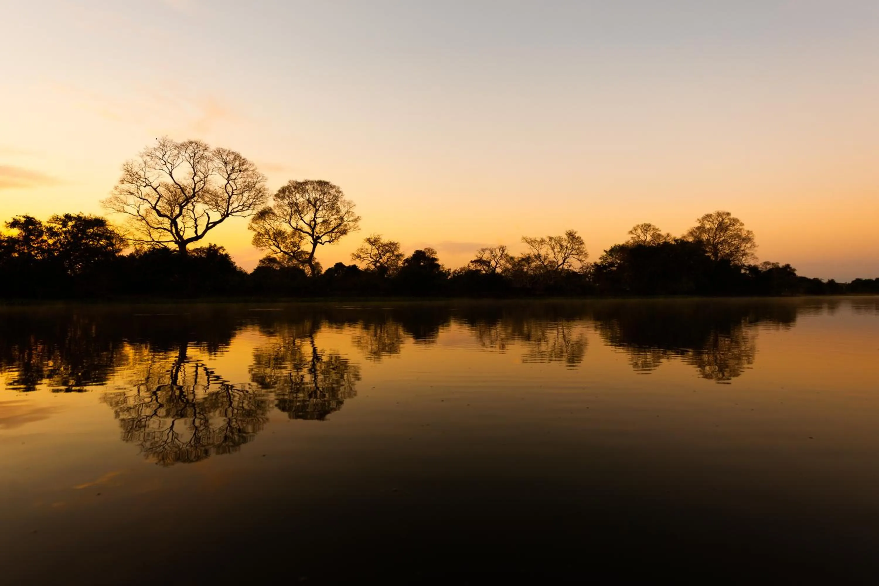 Natural landscape in Pousada Rio Claro