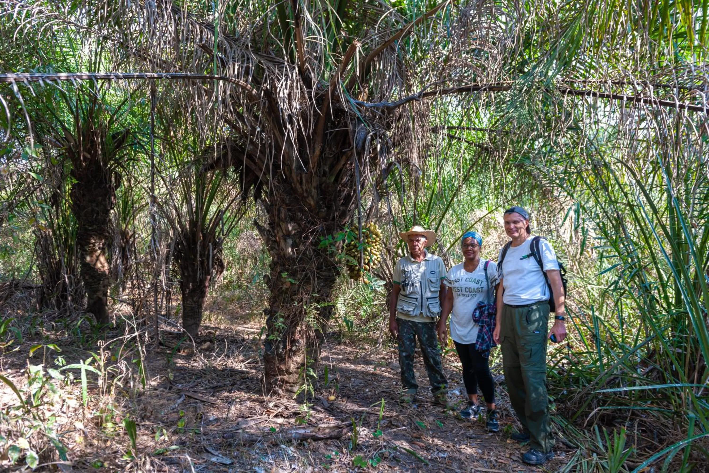 Hiking in Pousada Rio Claro