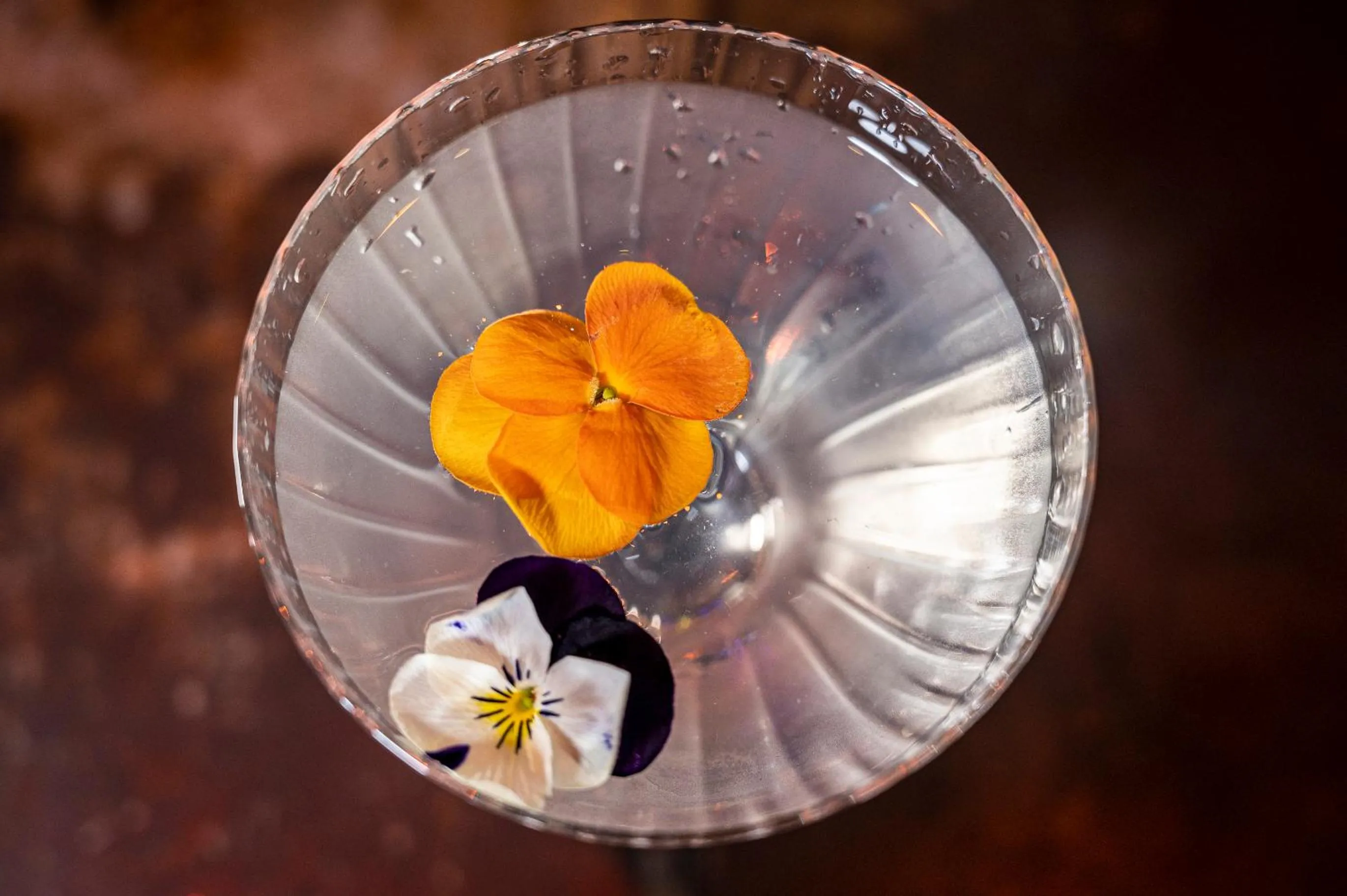 Alcoholic drinks in The Spencer Hotel