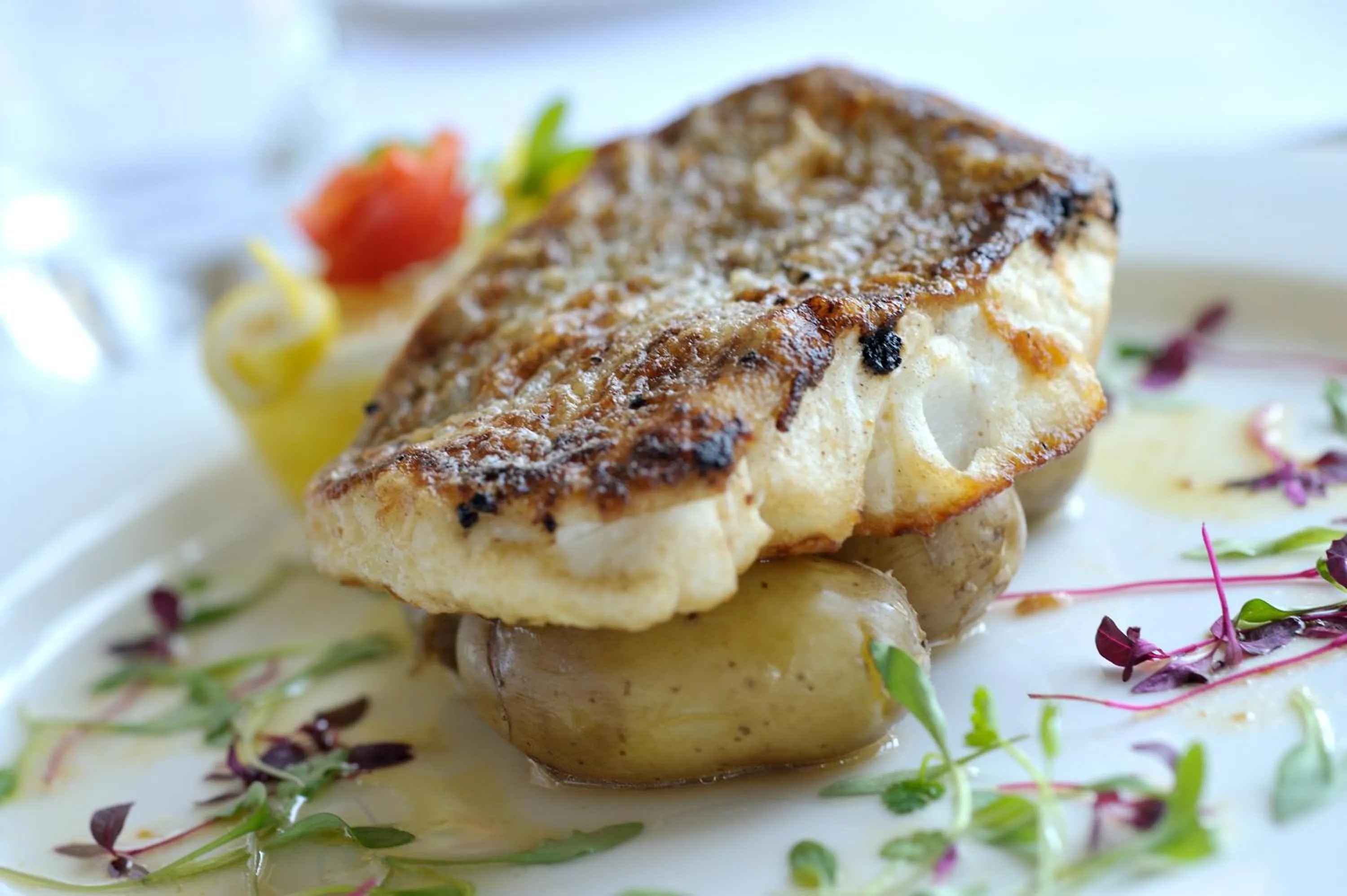 Food and drinks, Food in Best Western Hotel Bristol