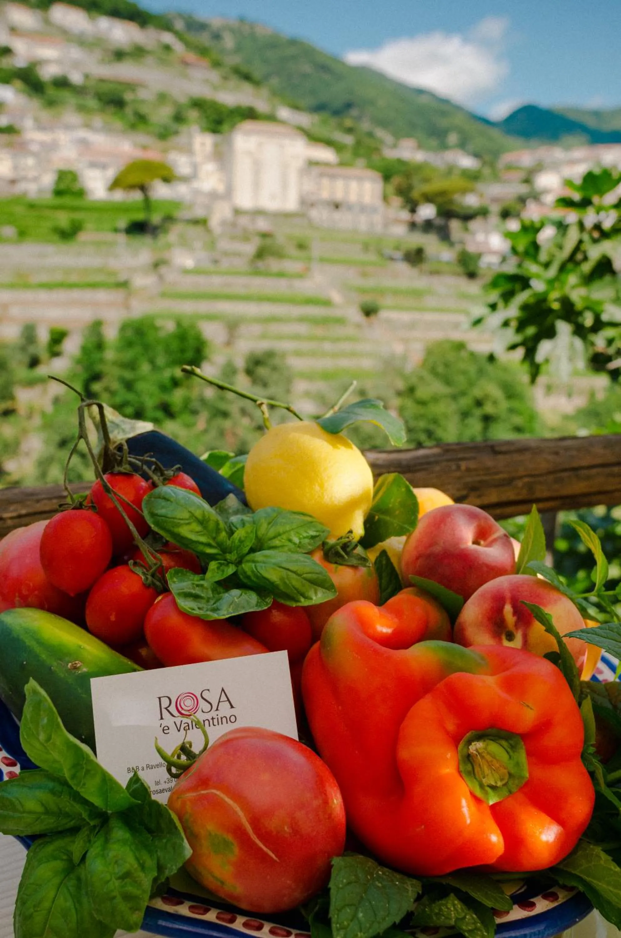 Garden in Rosa e Valentino