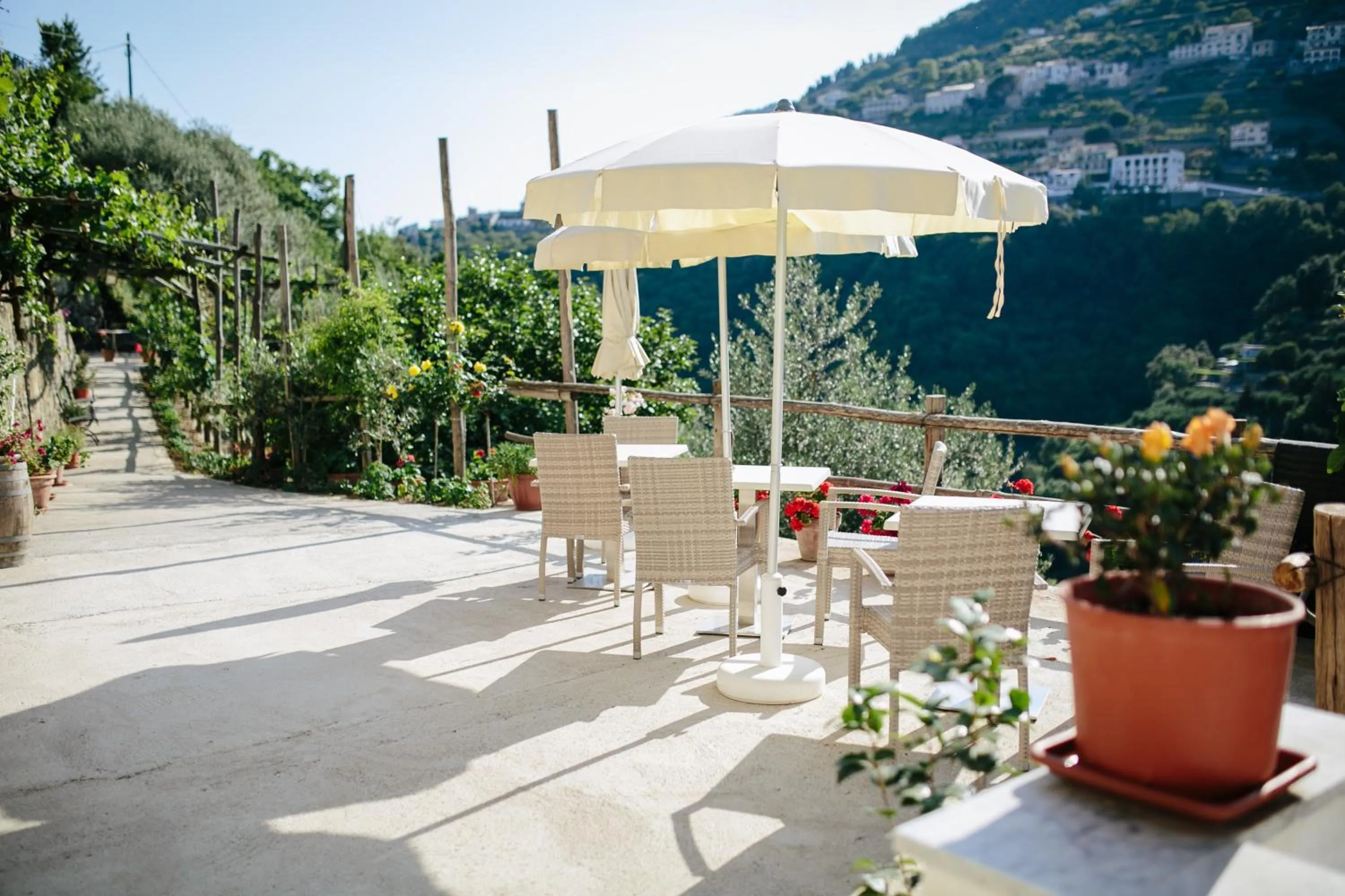 Garden in Rosa e Valentino