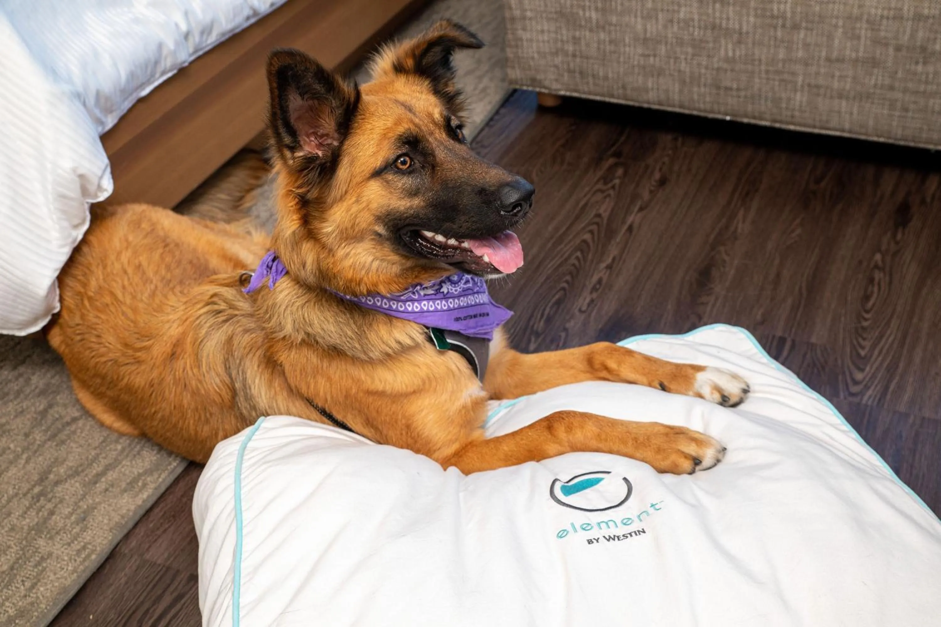 Other in Element Austin Downtown