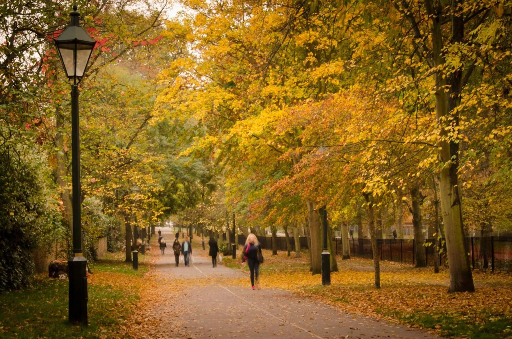 Area and facilities in Crowne Plaza London - Docklands by IHG