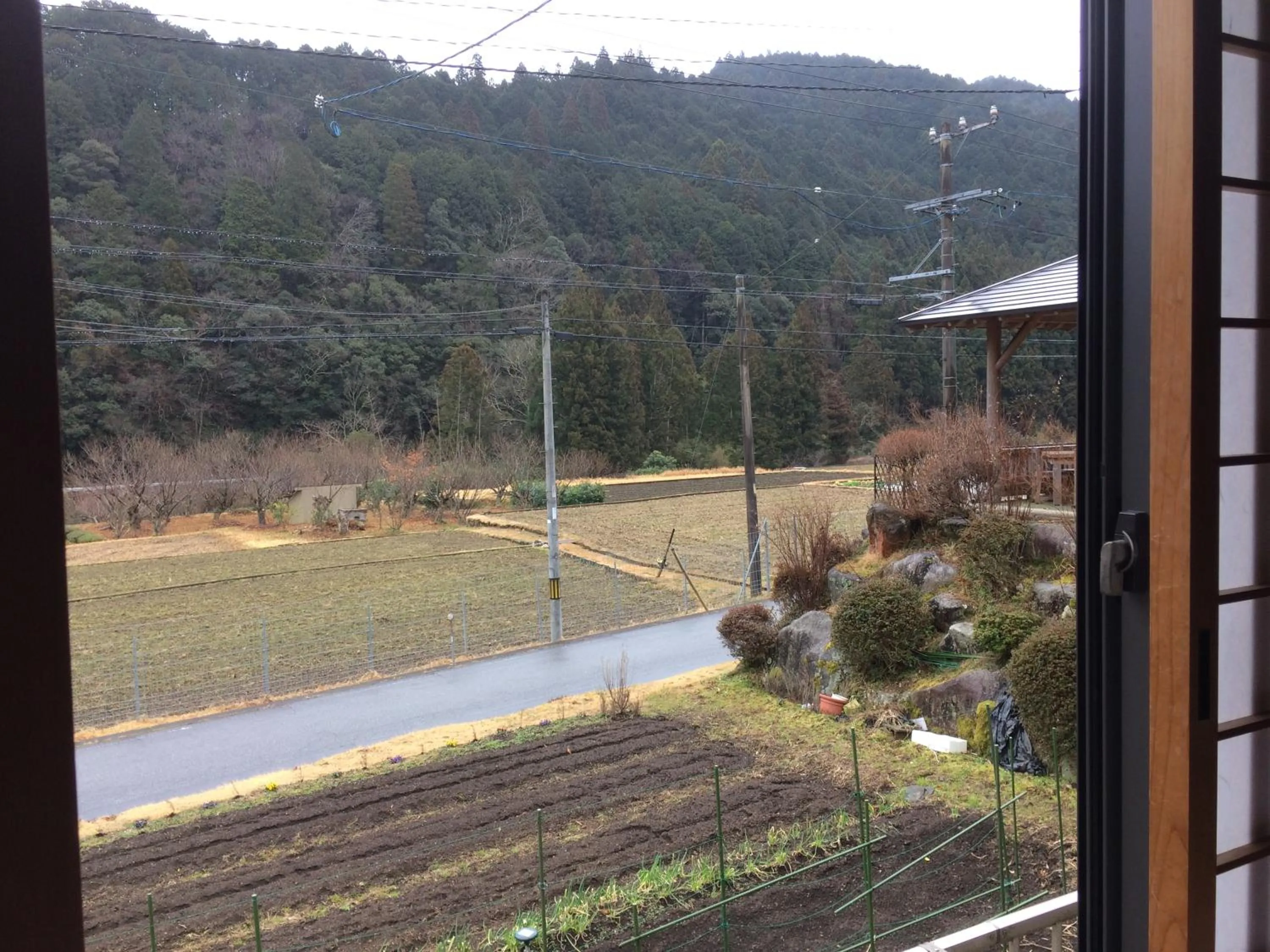 Garden view in Minshuku Ryokan Kawai
