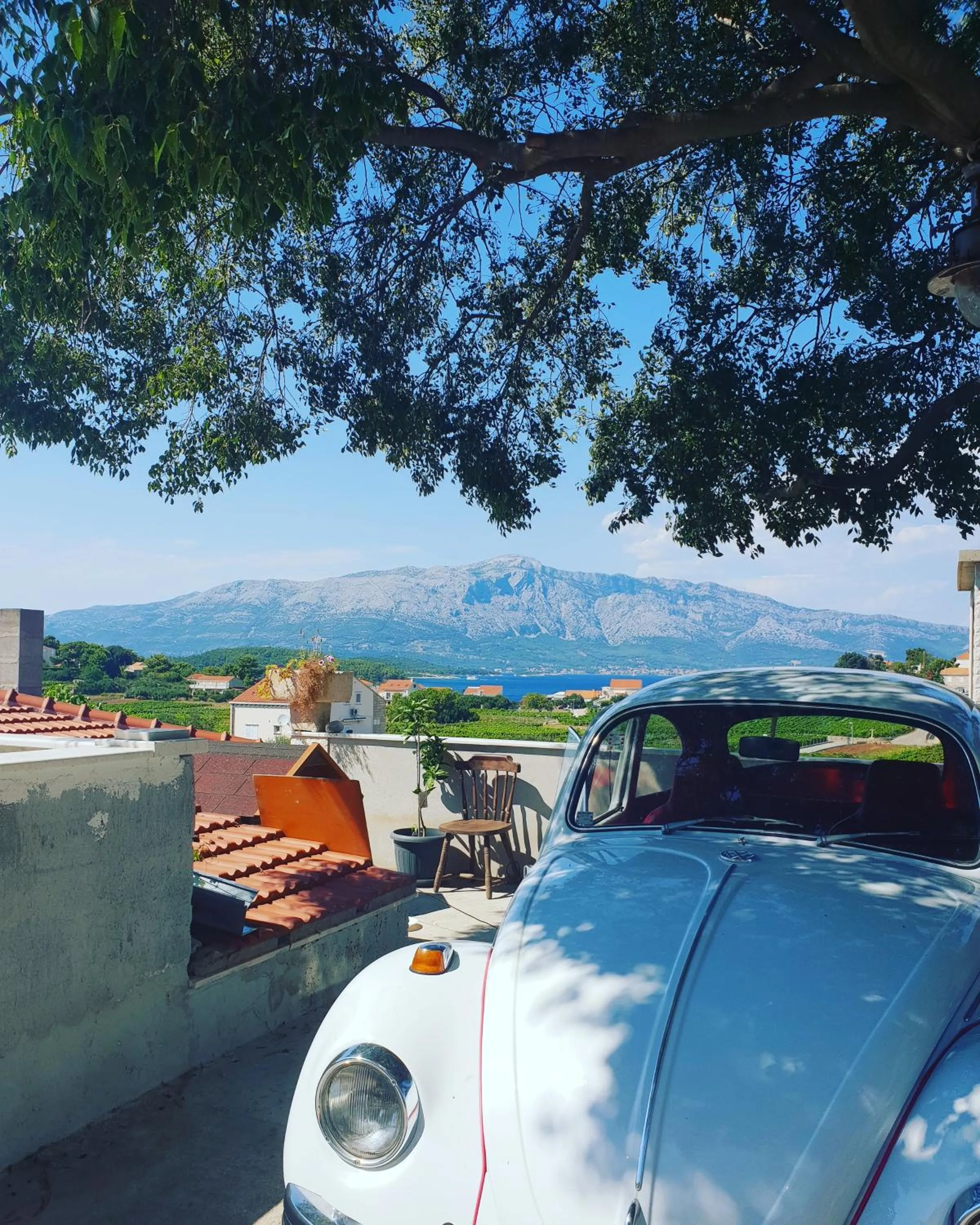 Guests in Dragan's Den Hostel