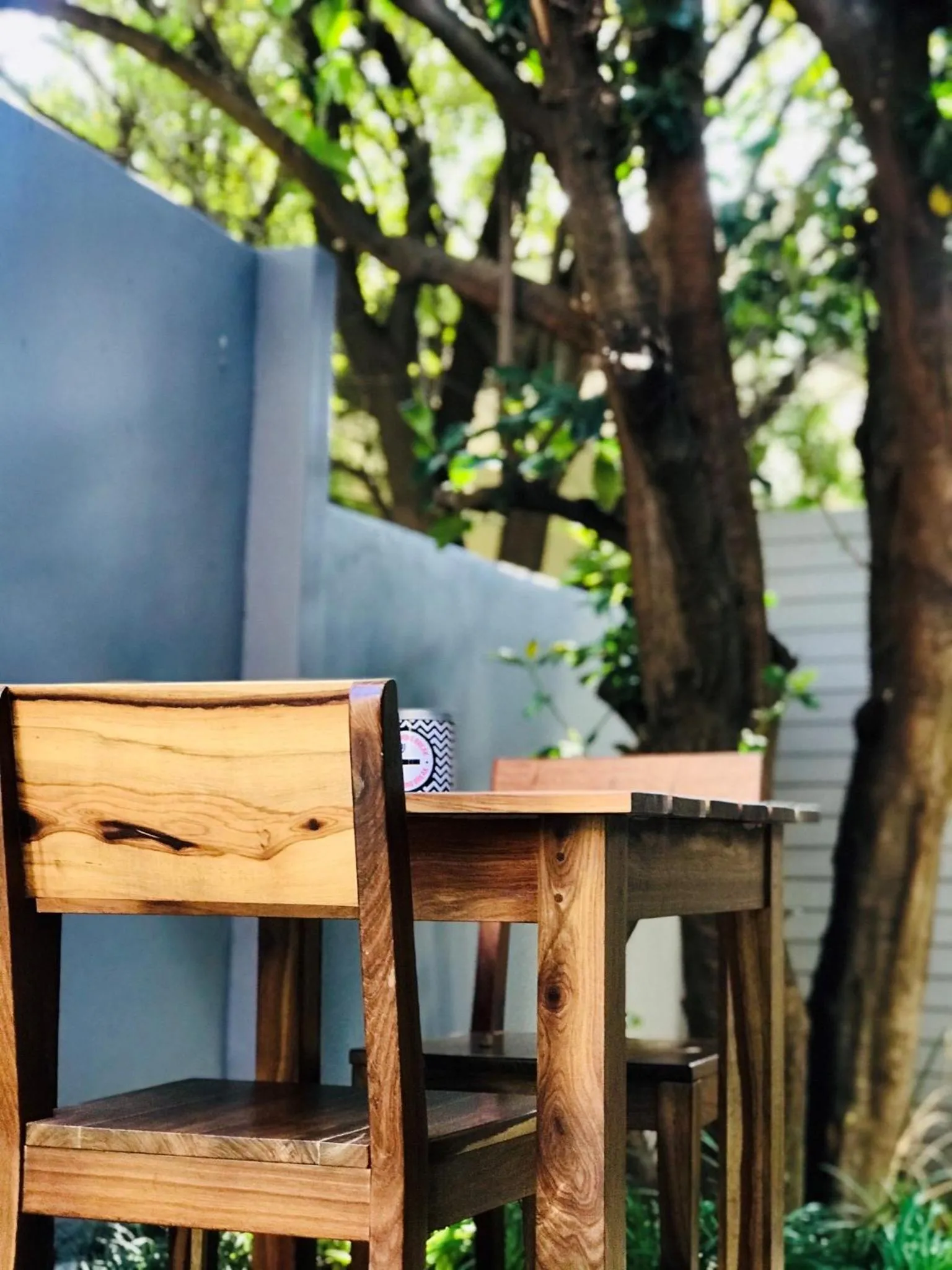 Garden view in Casa Cara Guest House