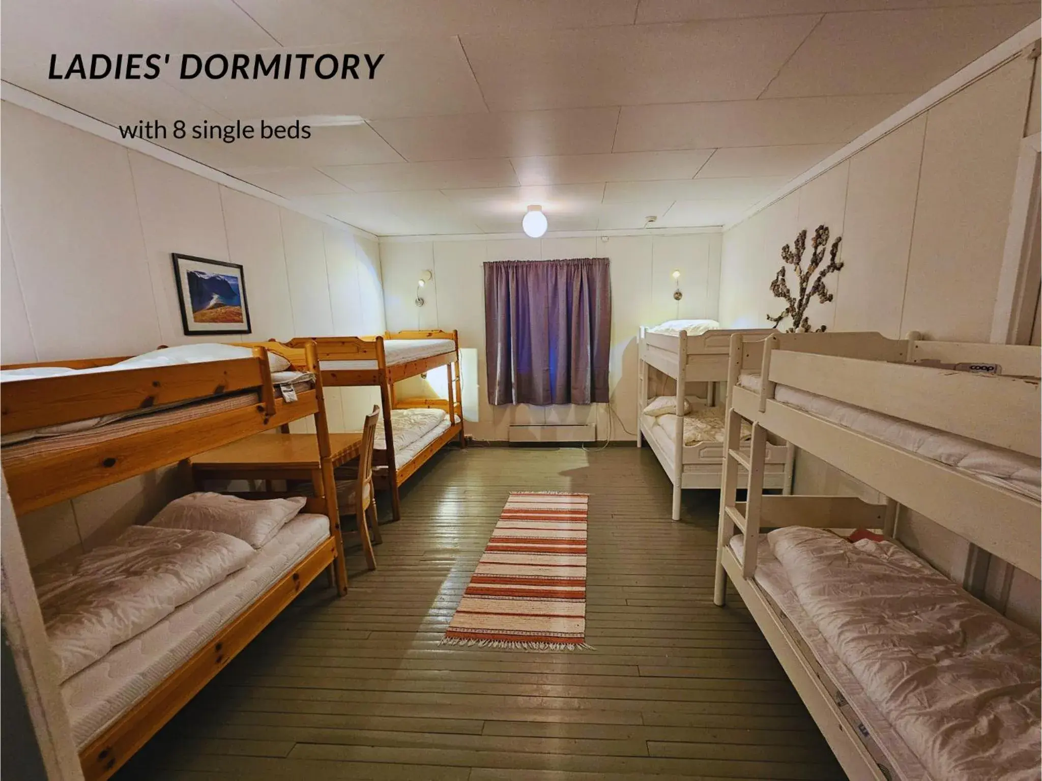 Bunk Bed in Female Dormitory Room in Lydersen Rorbuer Budget Hostel & Private Apartments Bunk Bed in Female Dormitory Room in Lydersen Rorbuer Budget Hostel & Private Apartments