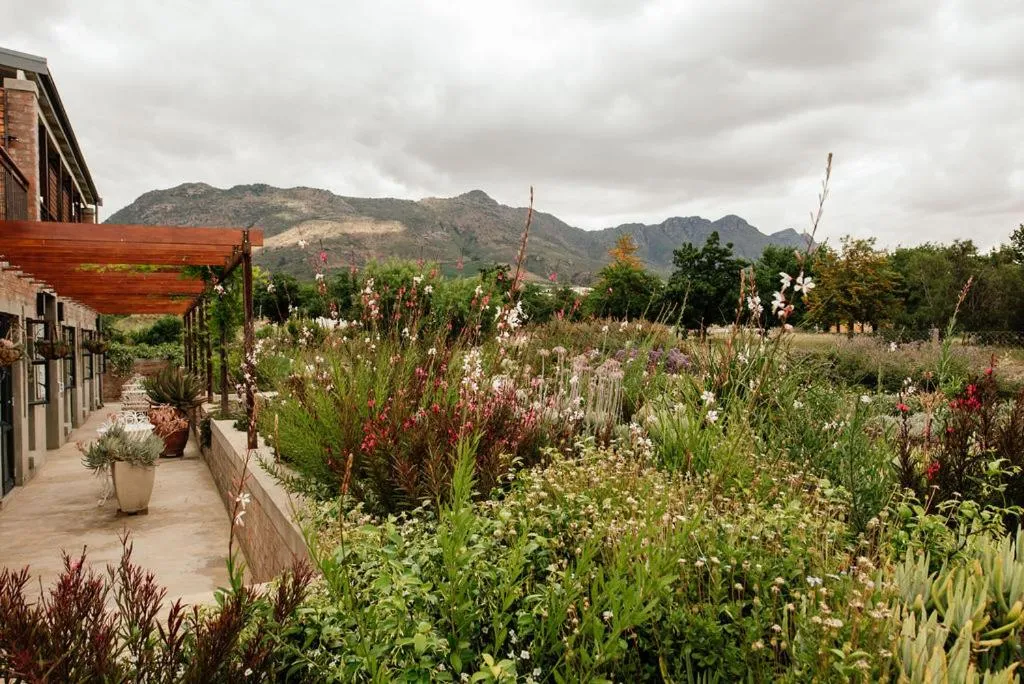 Garden in Vineyard Views Country House