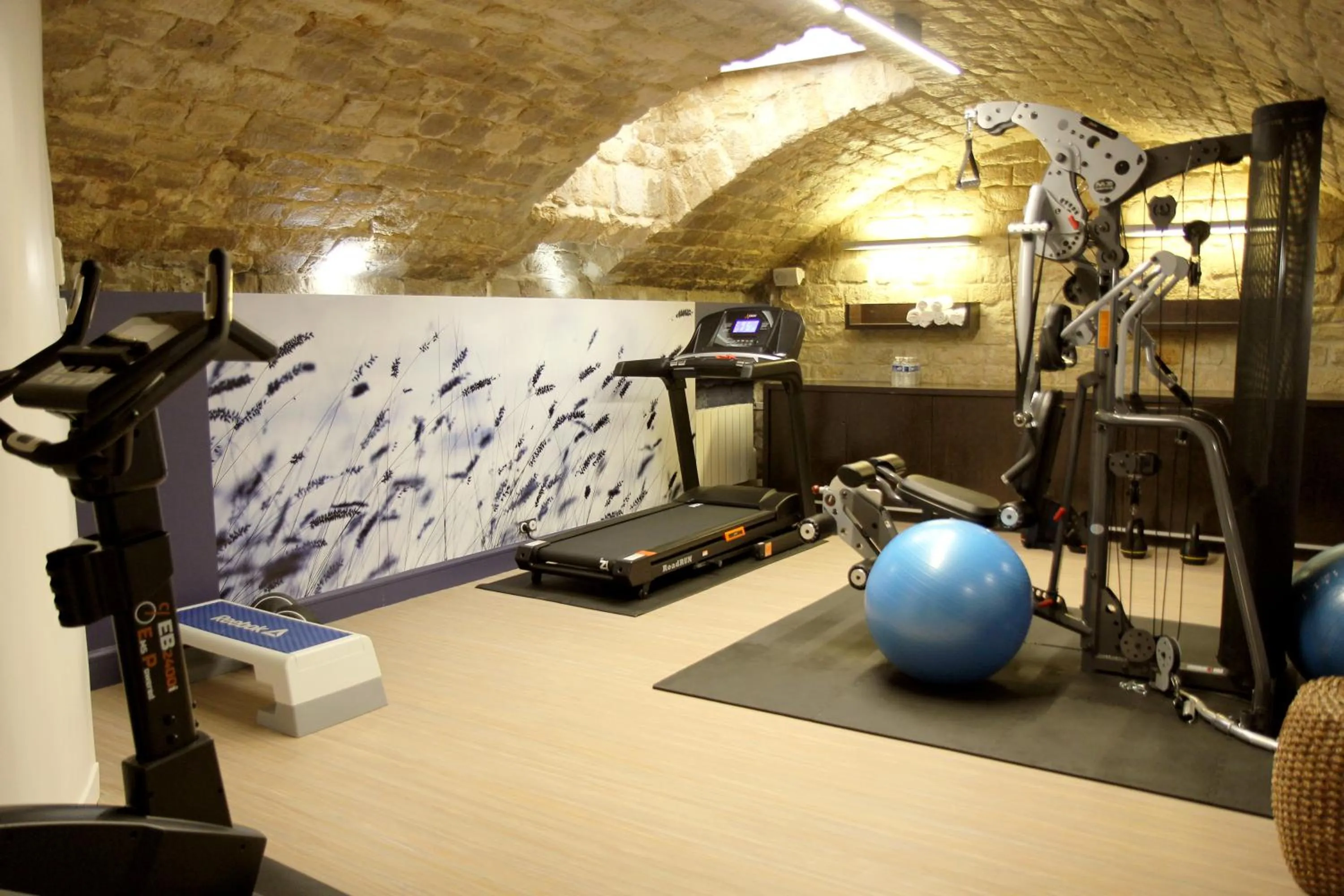 Fitness centre/facilities in Hôtel Littéraire Arthur Rimbaud, BW Signature Collection