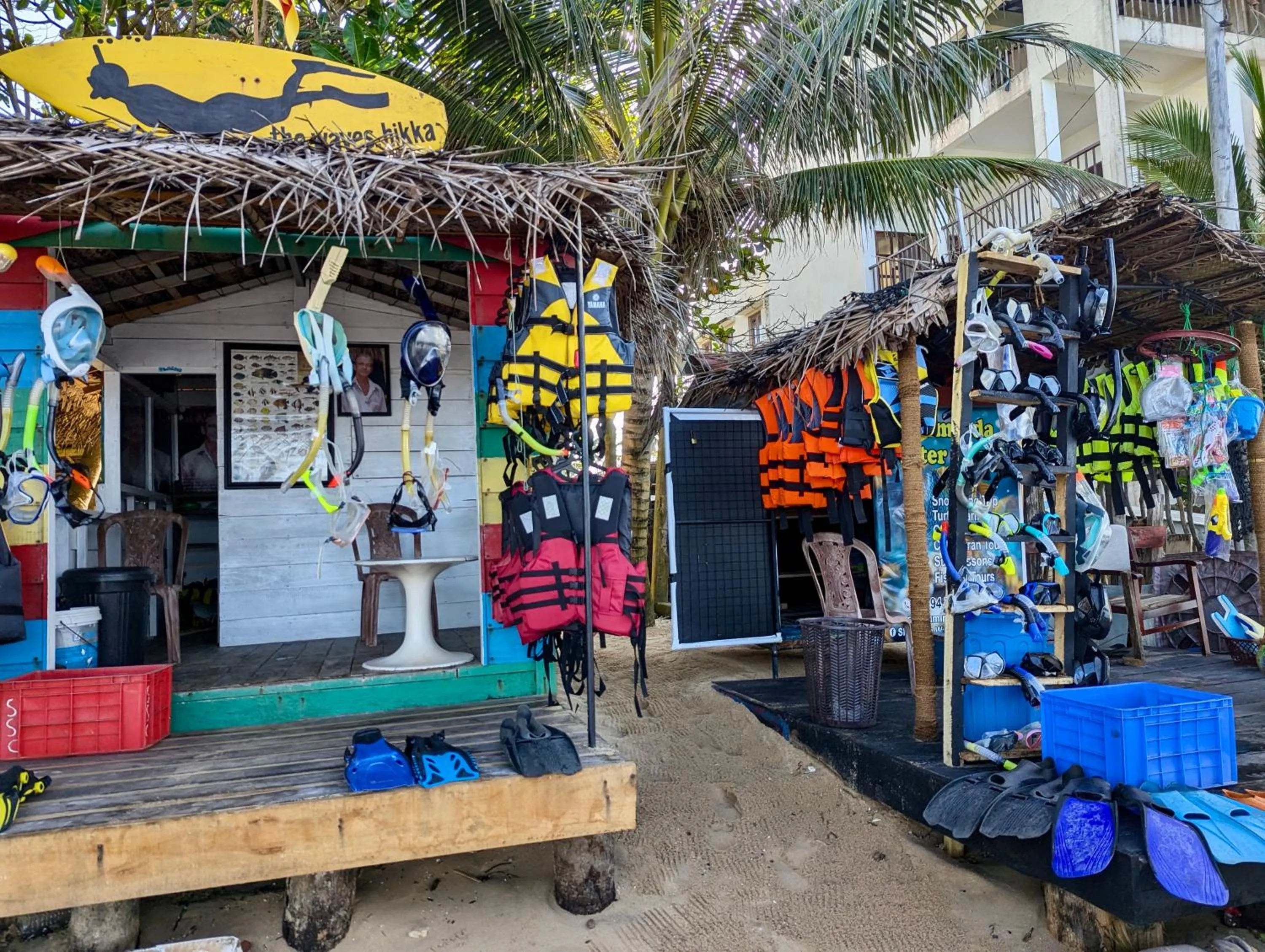 Snorkeling in Bliss Apartment Hikkaduwa