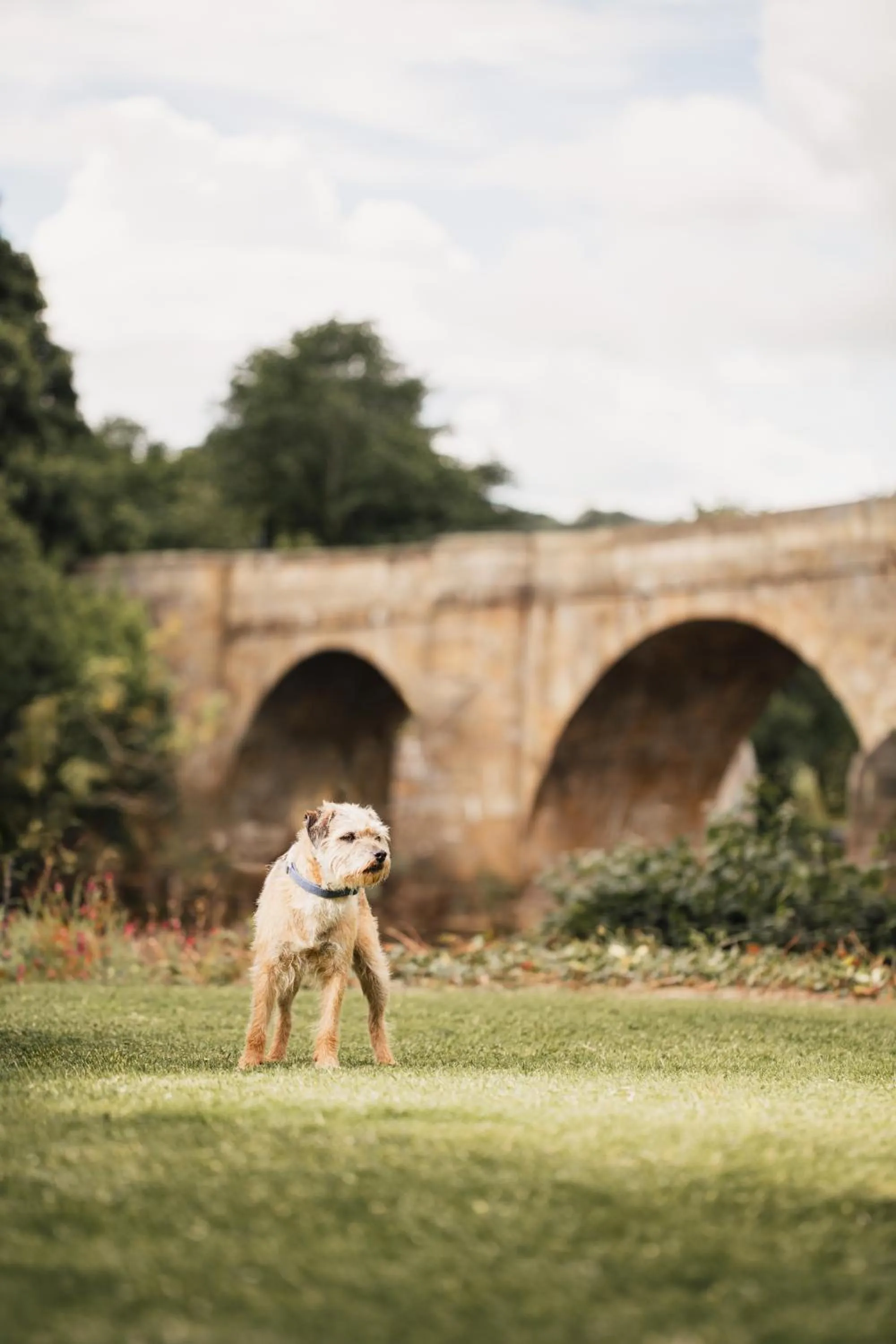 Natural landscape in George Hotel