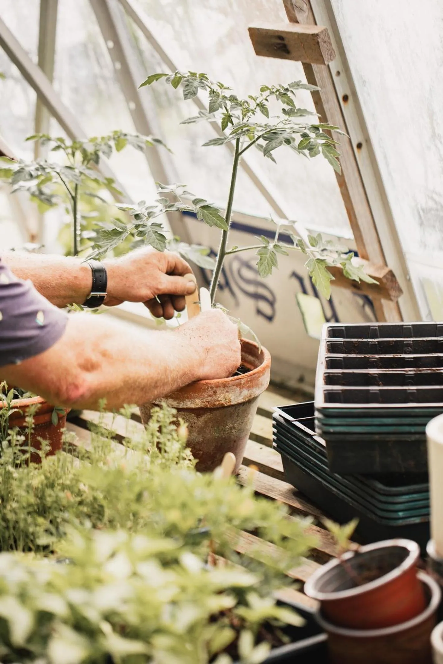 People in George Hotel