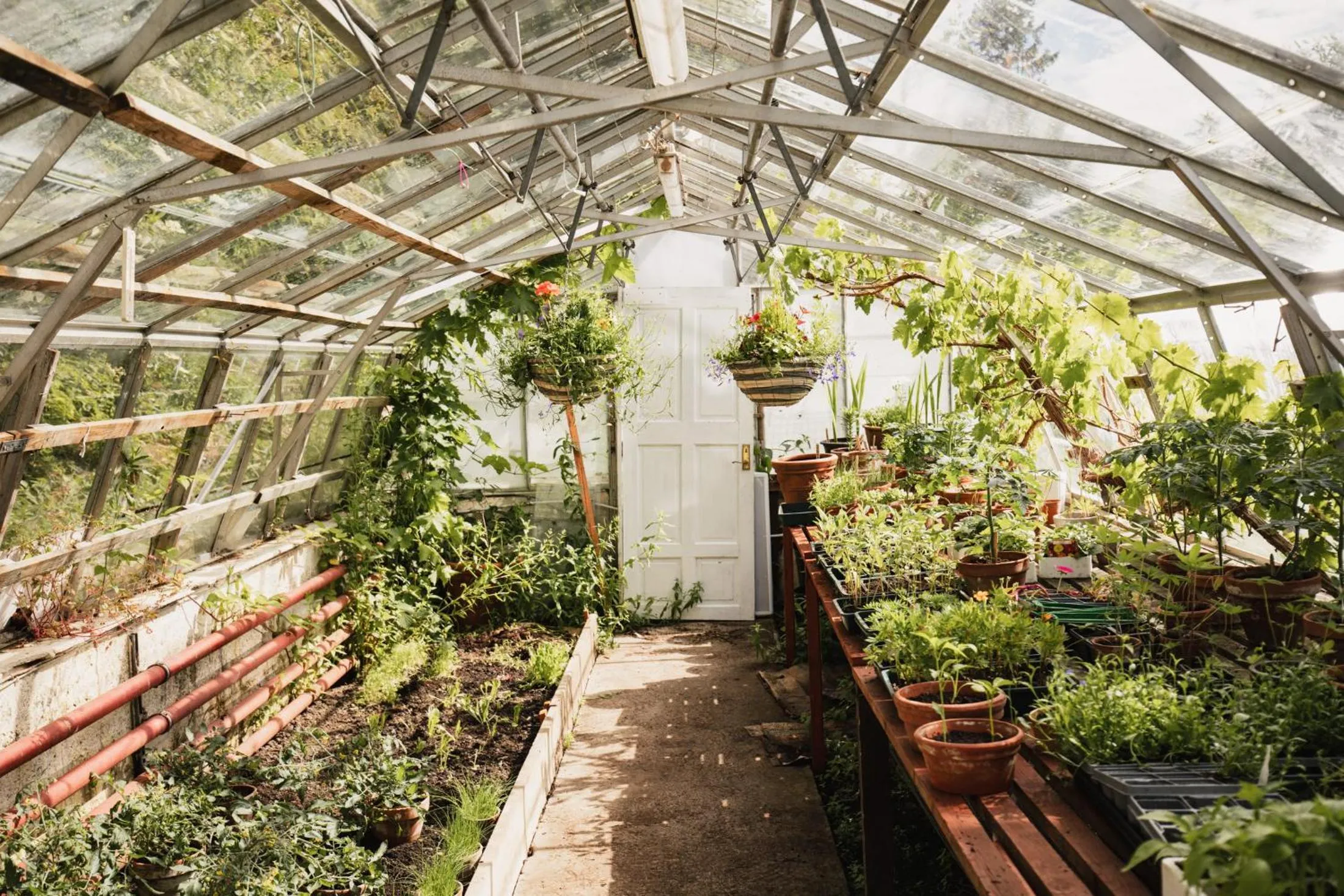 Garden in George Hotel