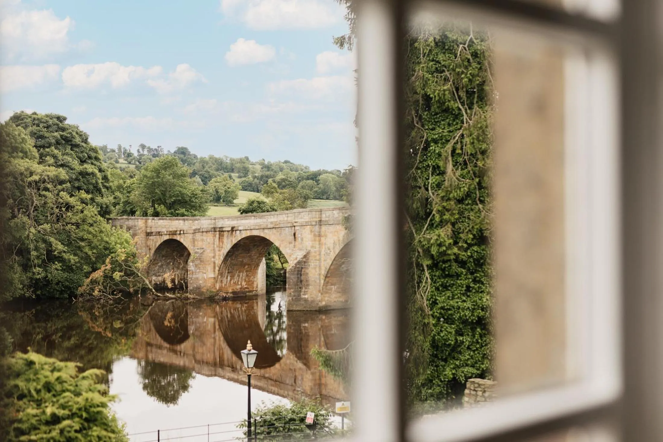 Natural landscape in George Hotel