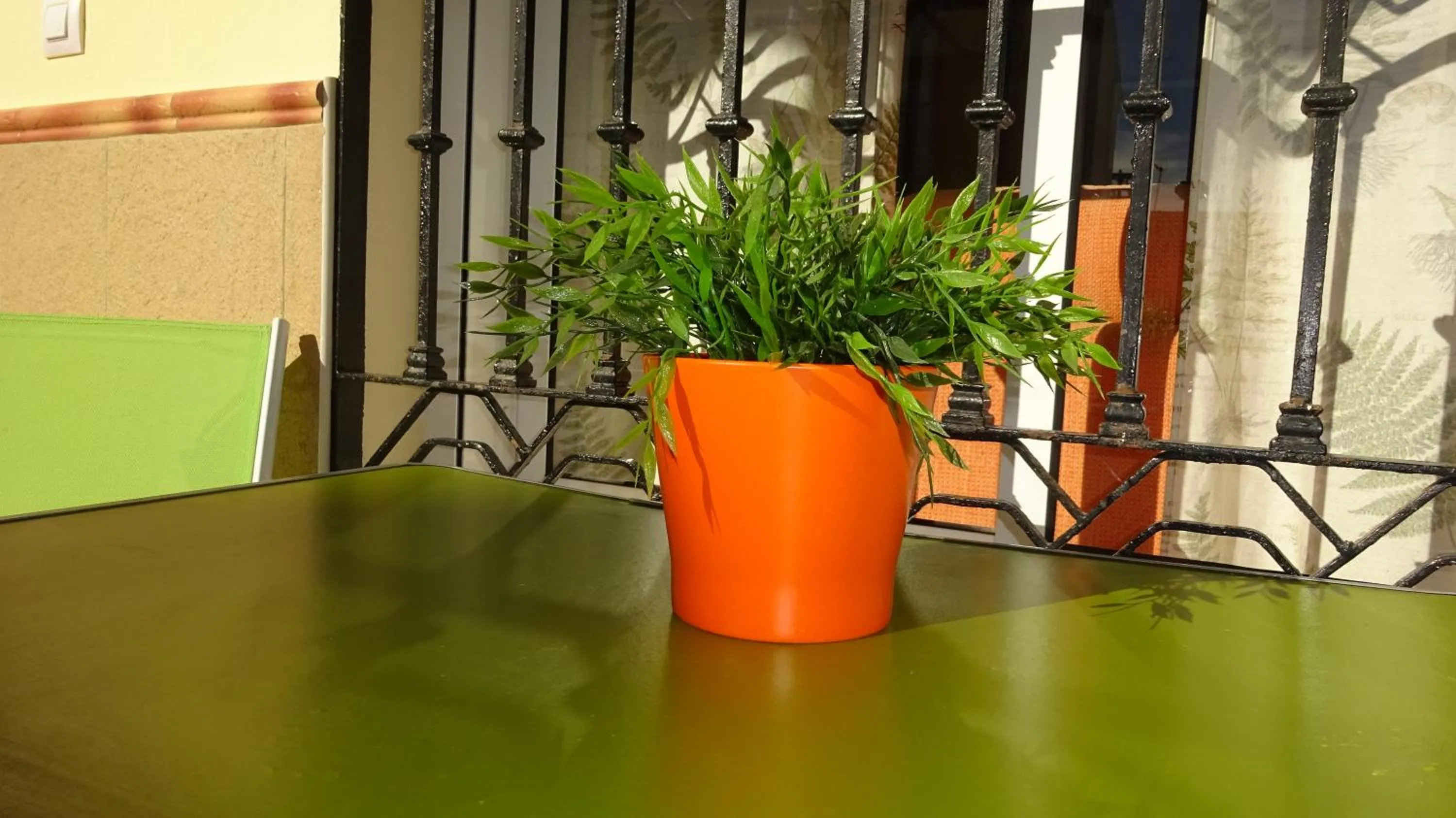 Decorative detail in Apartamento Rulosol 2