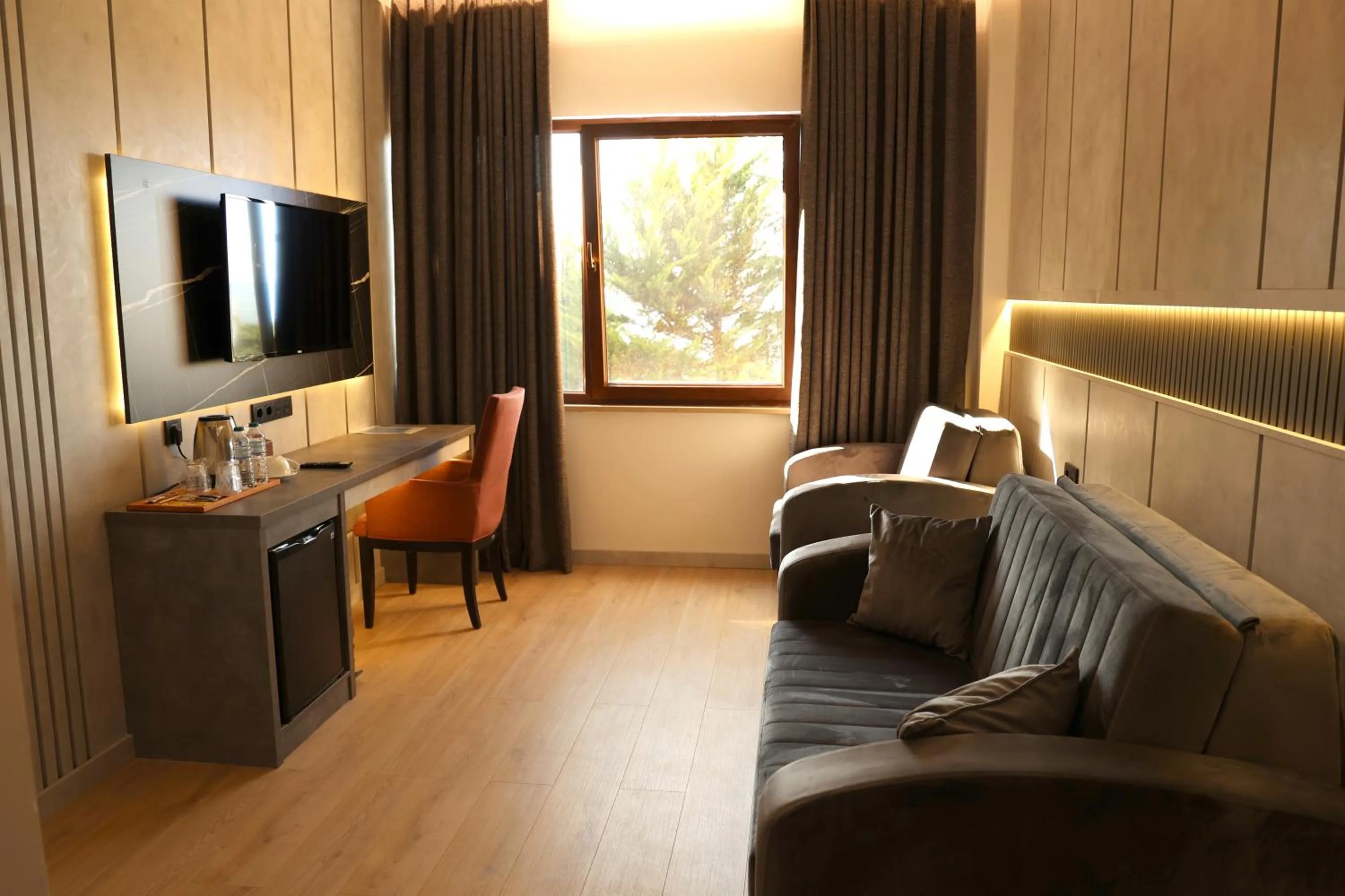 Communal lounge/ TV room in Hotel Lazlakar