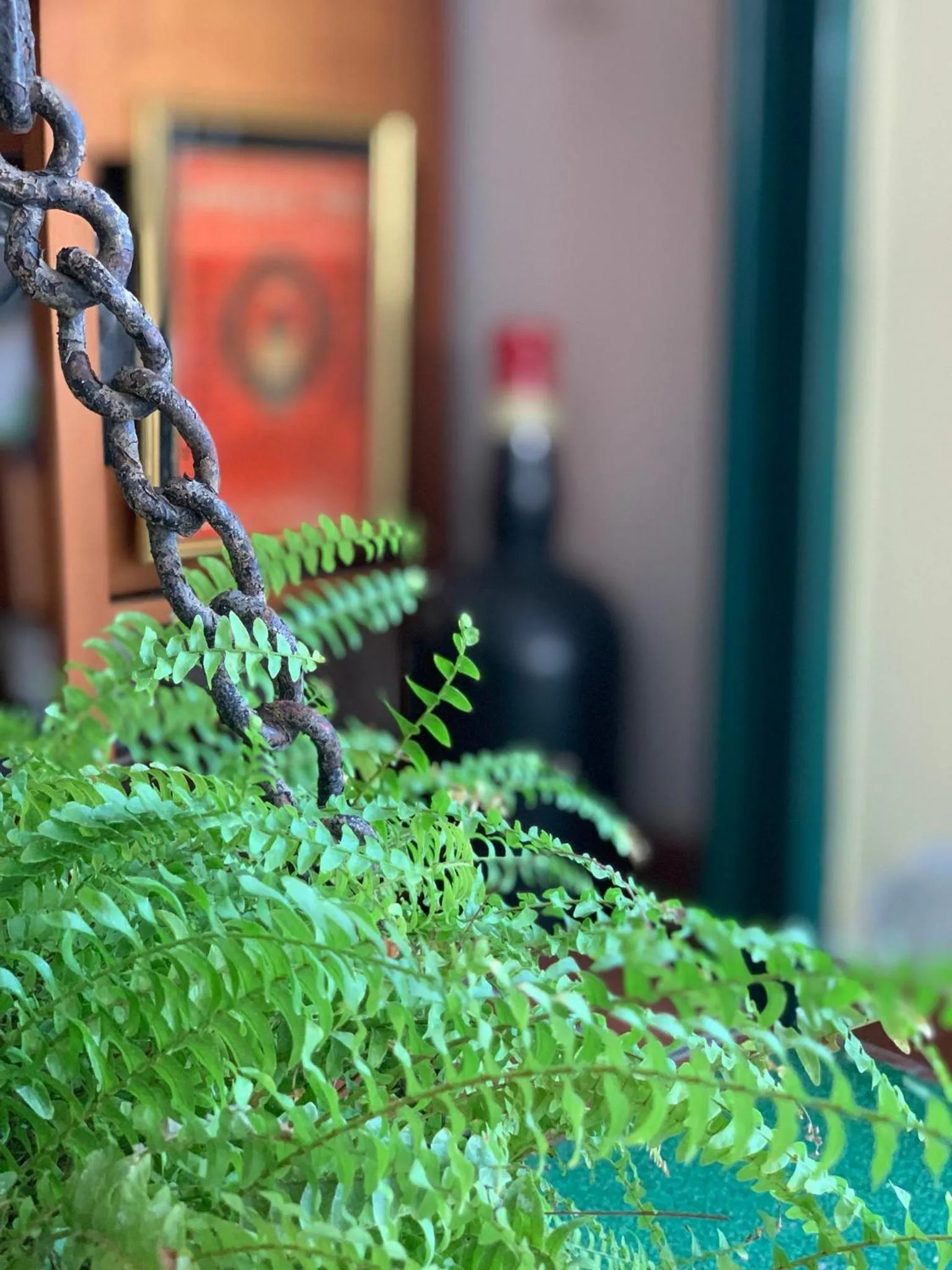 Garden in Le Residenze dei Serravallo