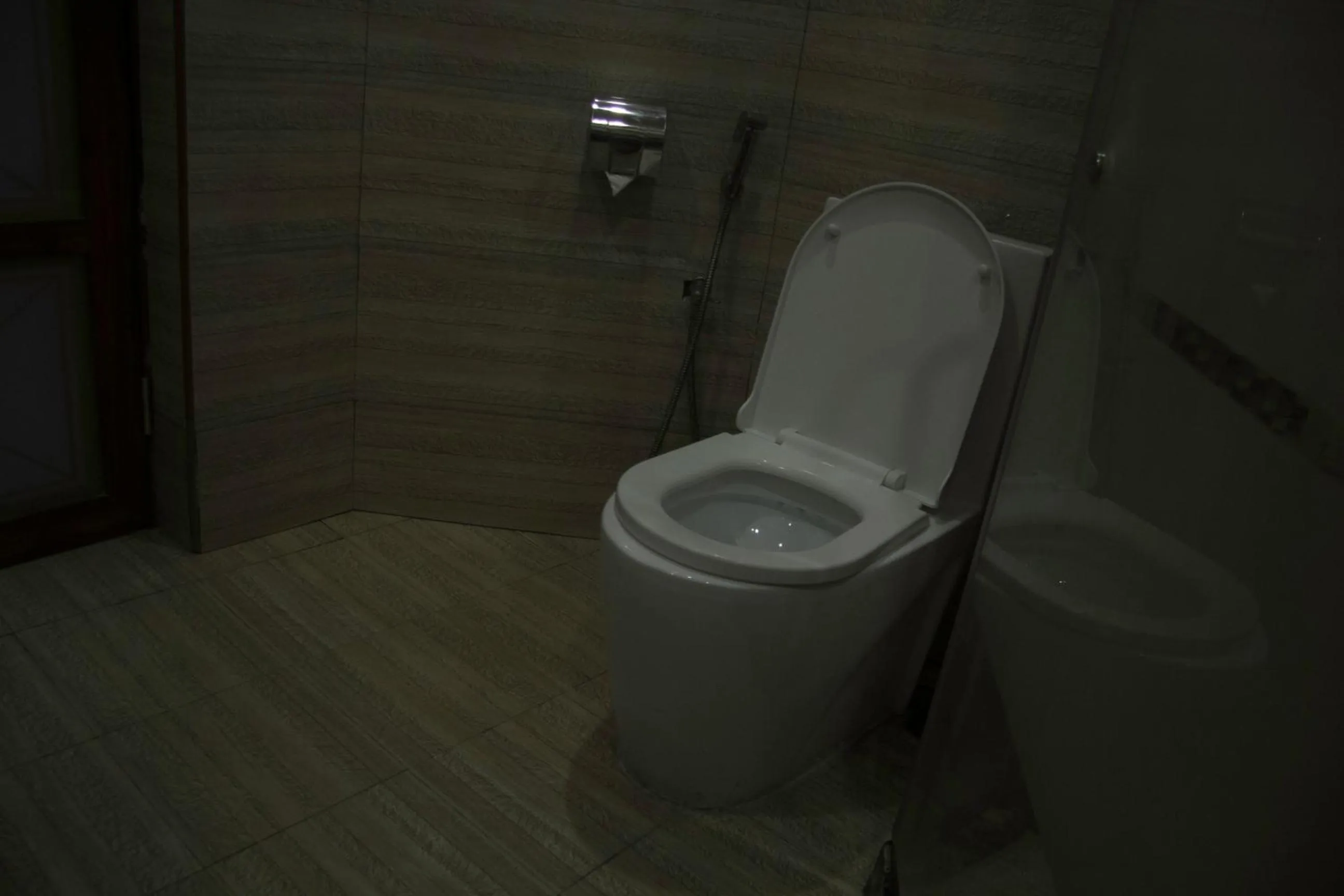 Toilet in Zimbo Golden Hotel