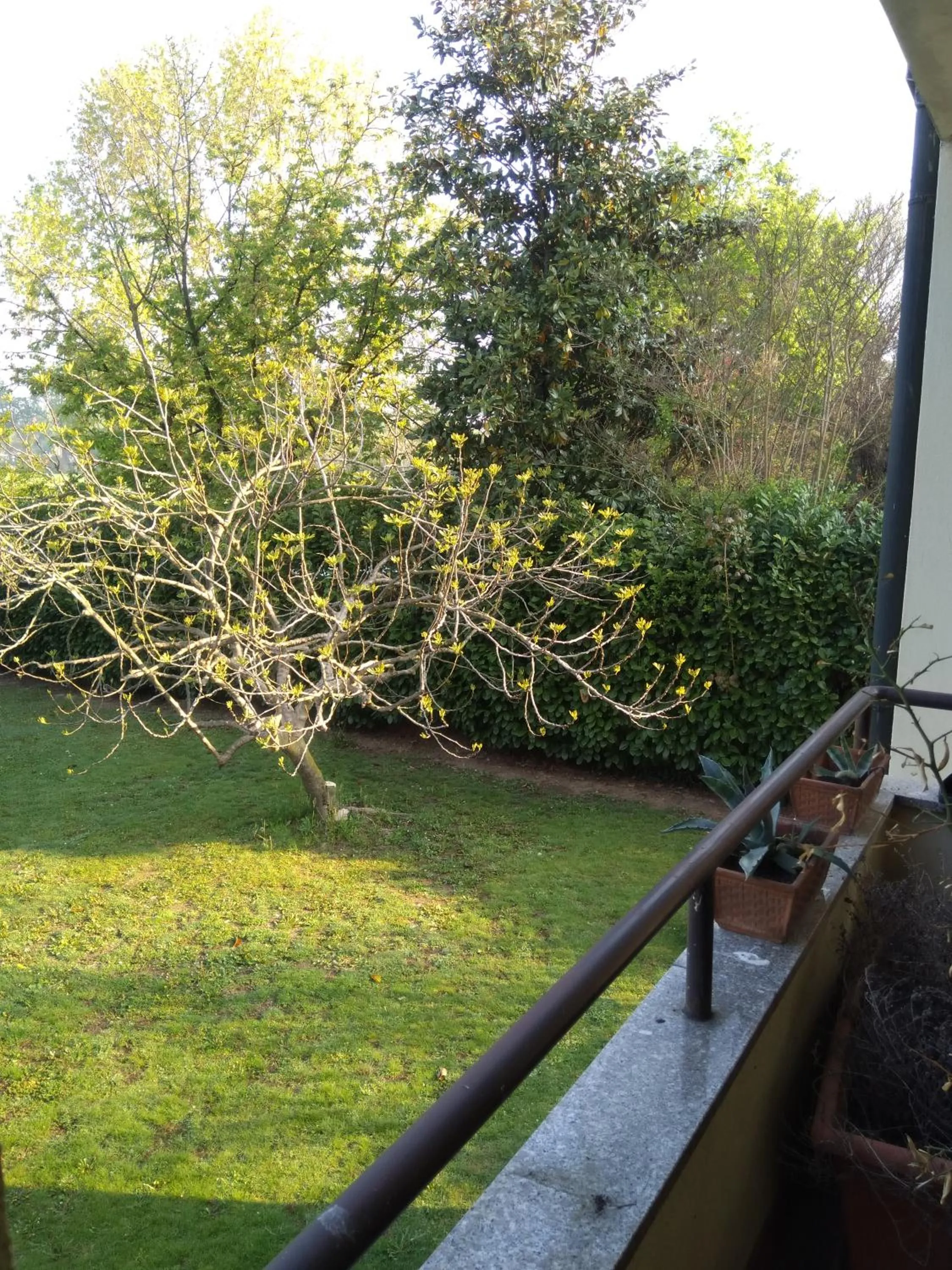 Garden in B&B Il Glicine di Basiglio