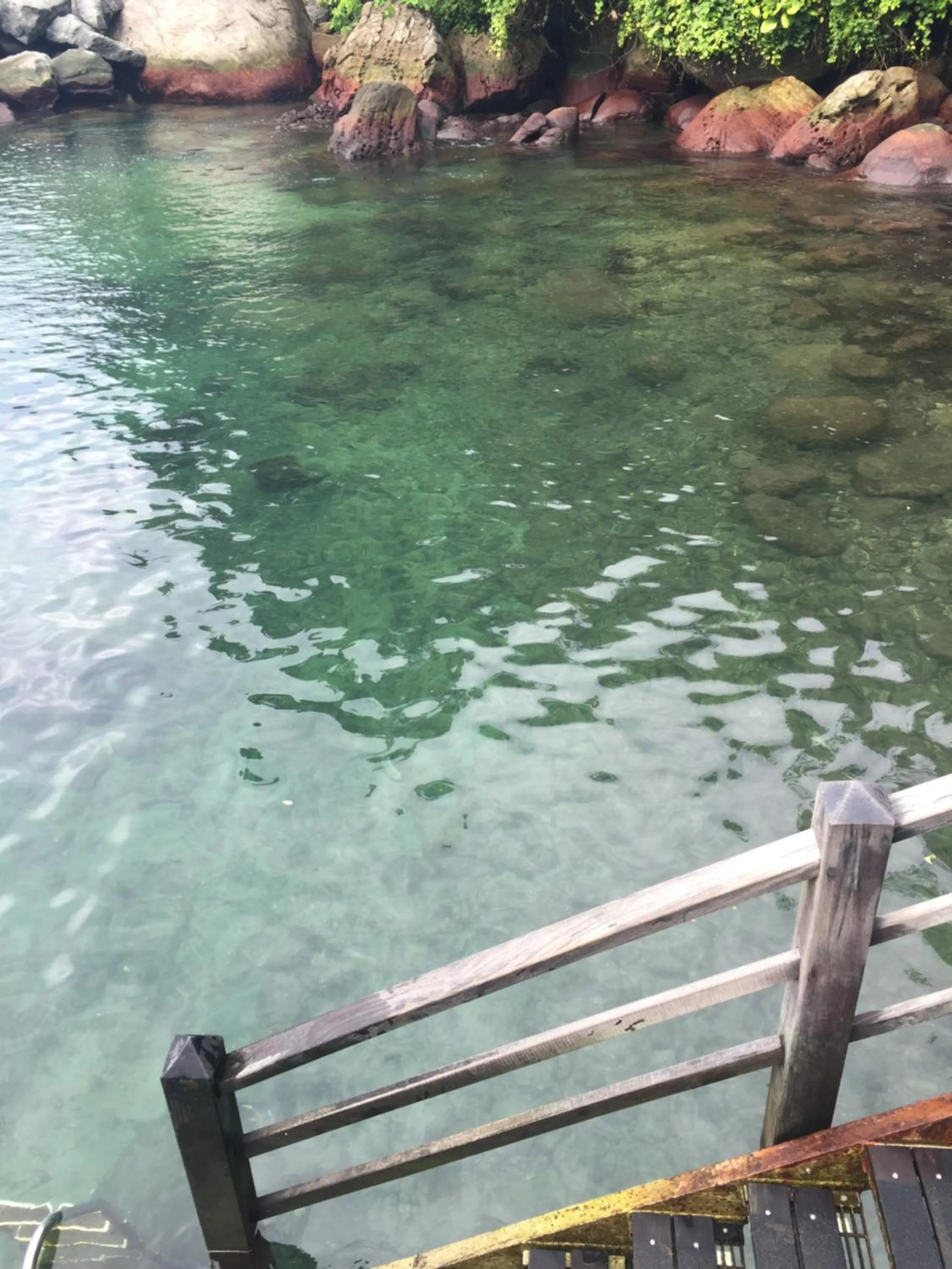 Natural landscape in Porto Real Suites Mangaratiba