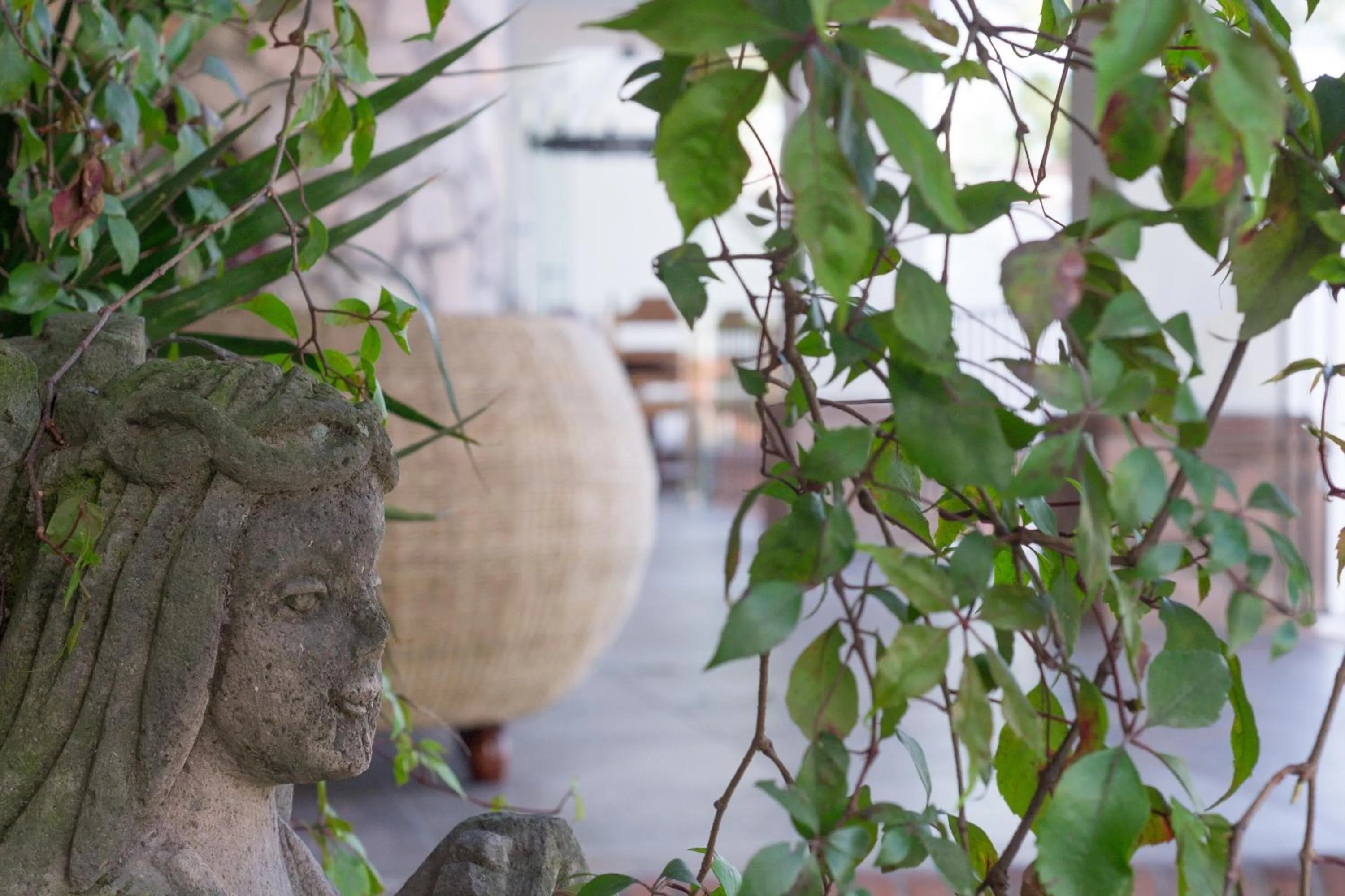 Decorative detail in Maja Hotel Boutique