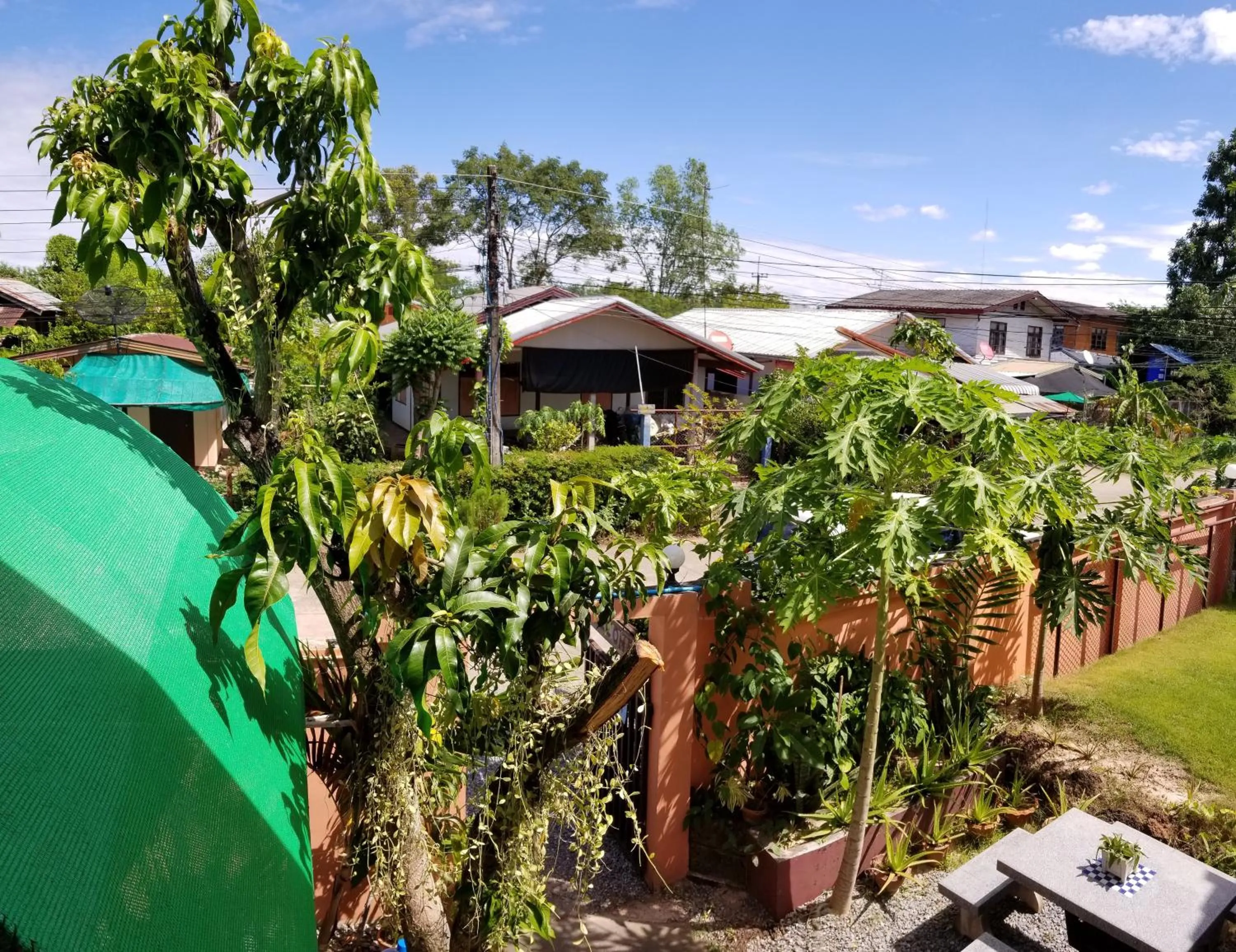 Neighbourhood in Bamboo Garden