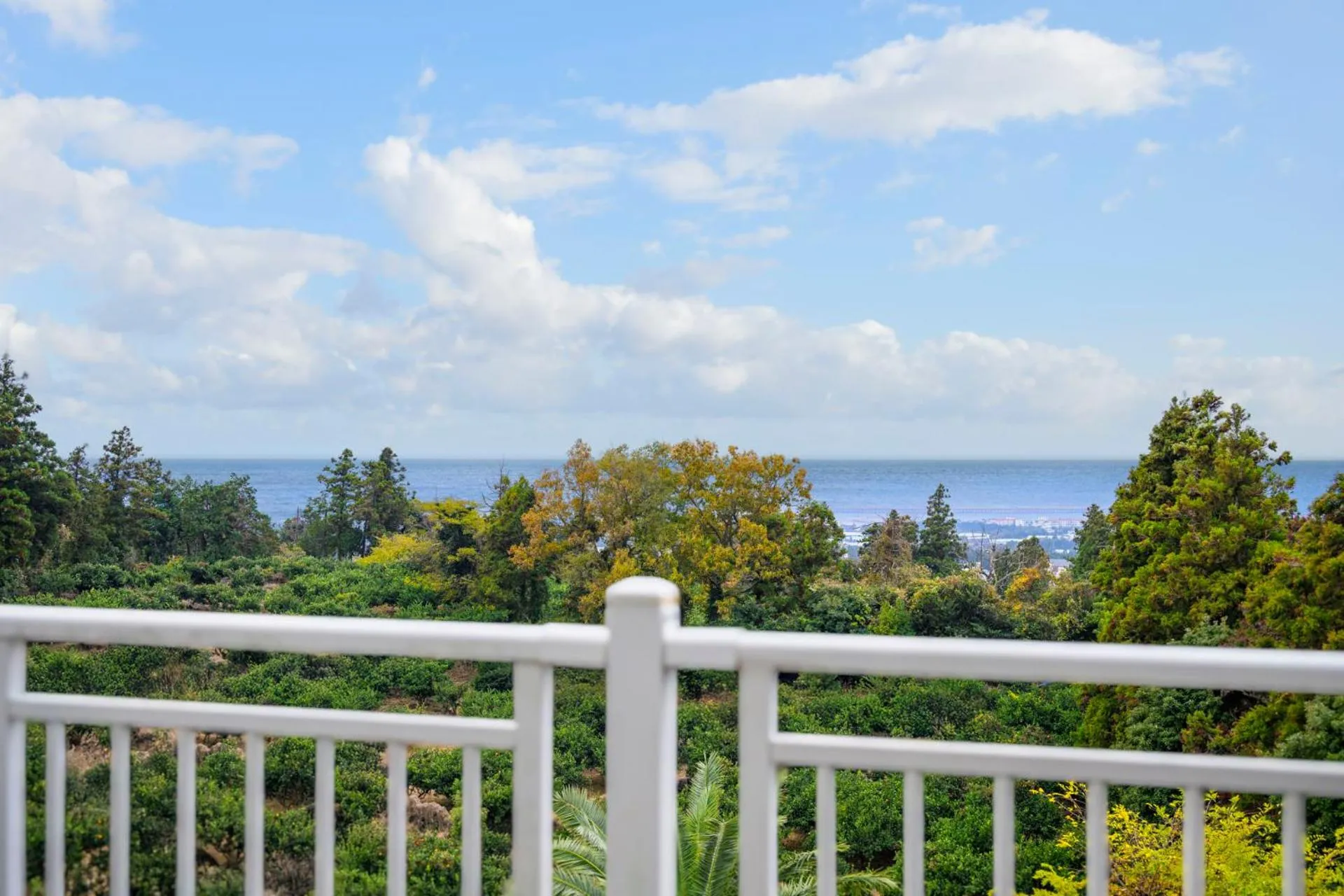 View (from property/room) in Jeju M Resort