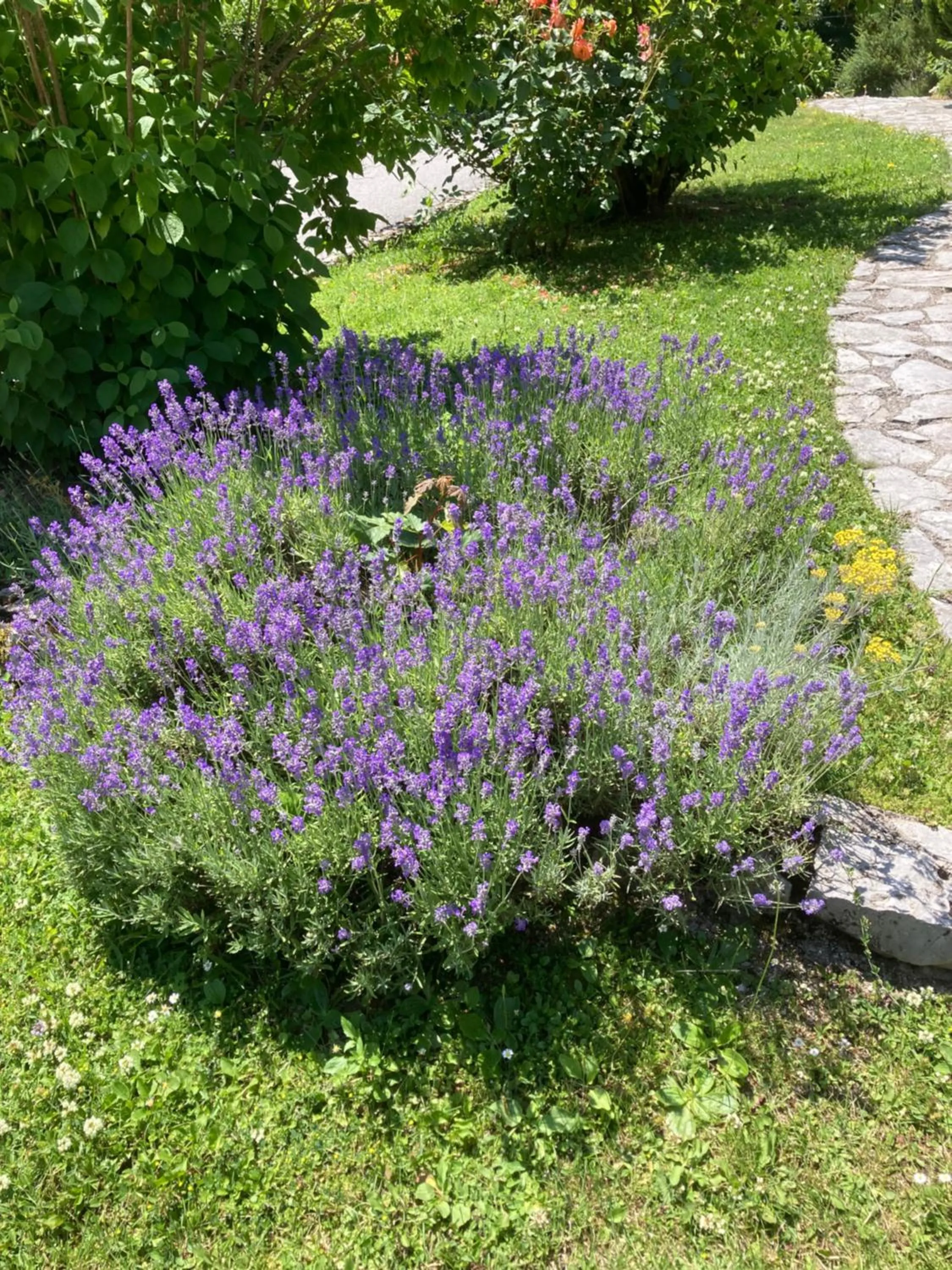 View (from property/room) in Villa Lykos Plitvice