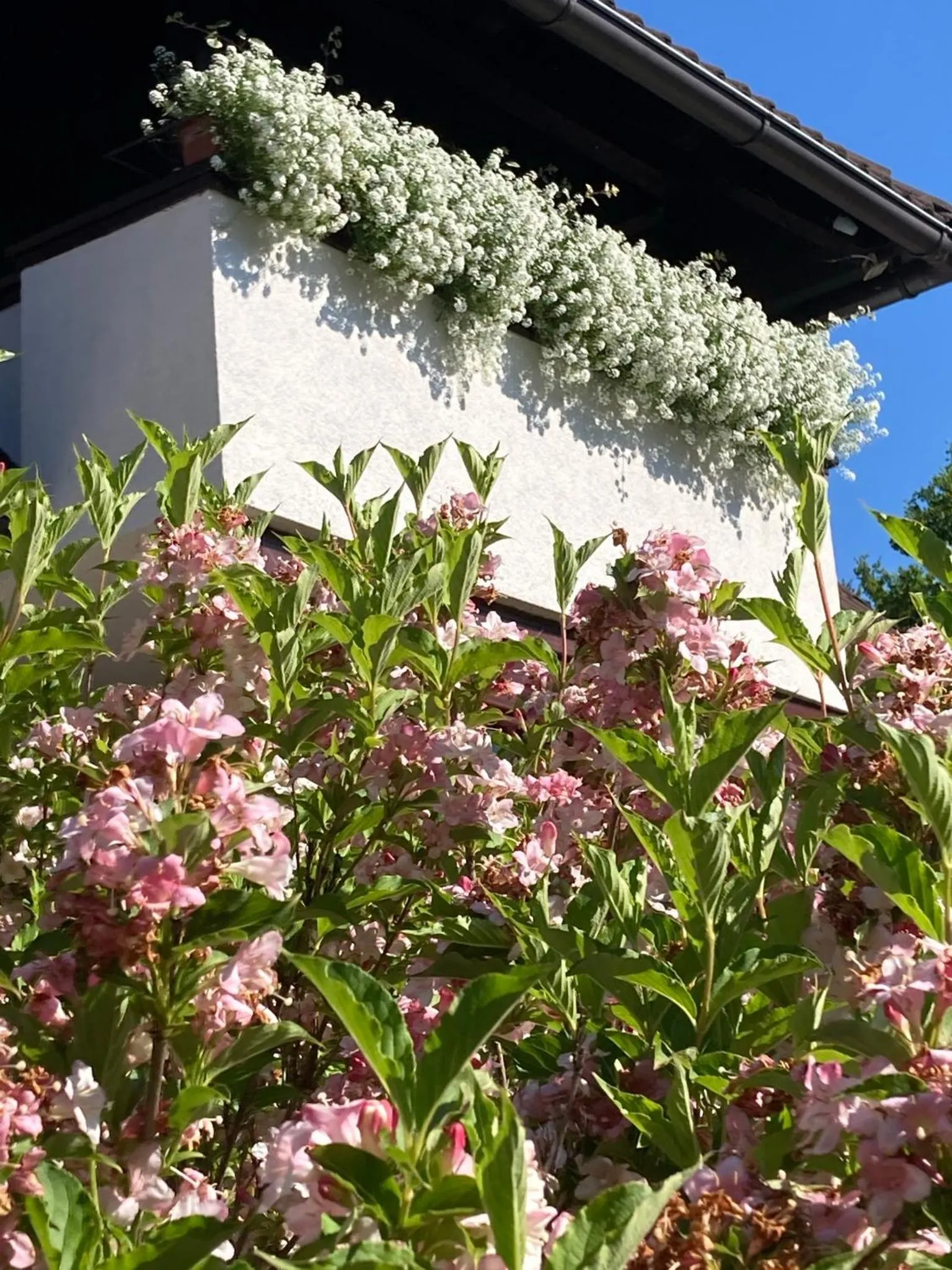 Property building in Villa Lykos Plitvice