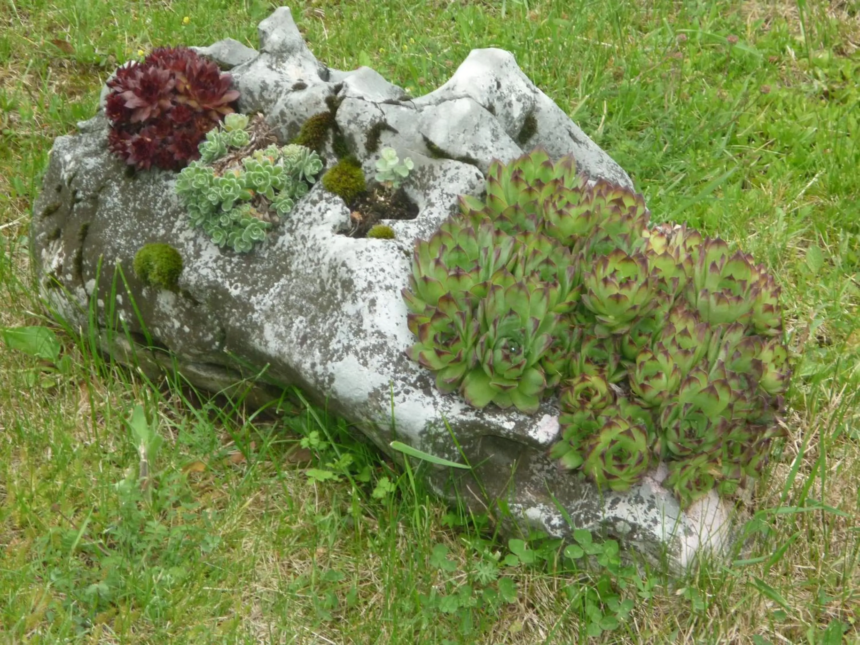 Spring in Villa Lykos Plitvice