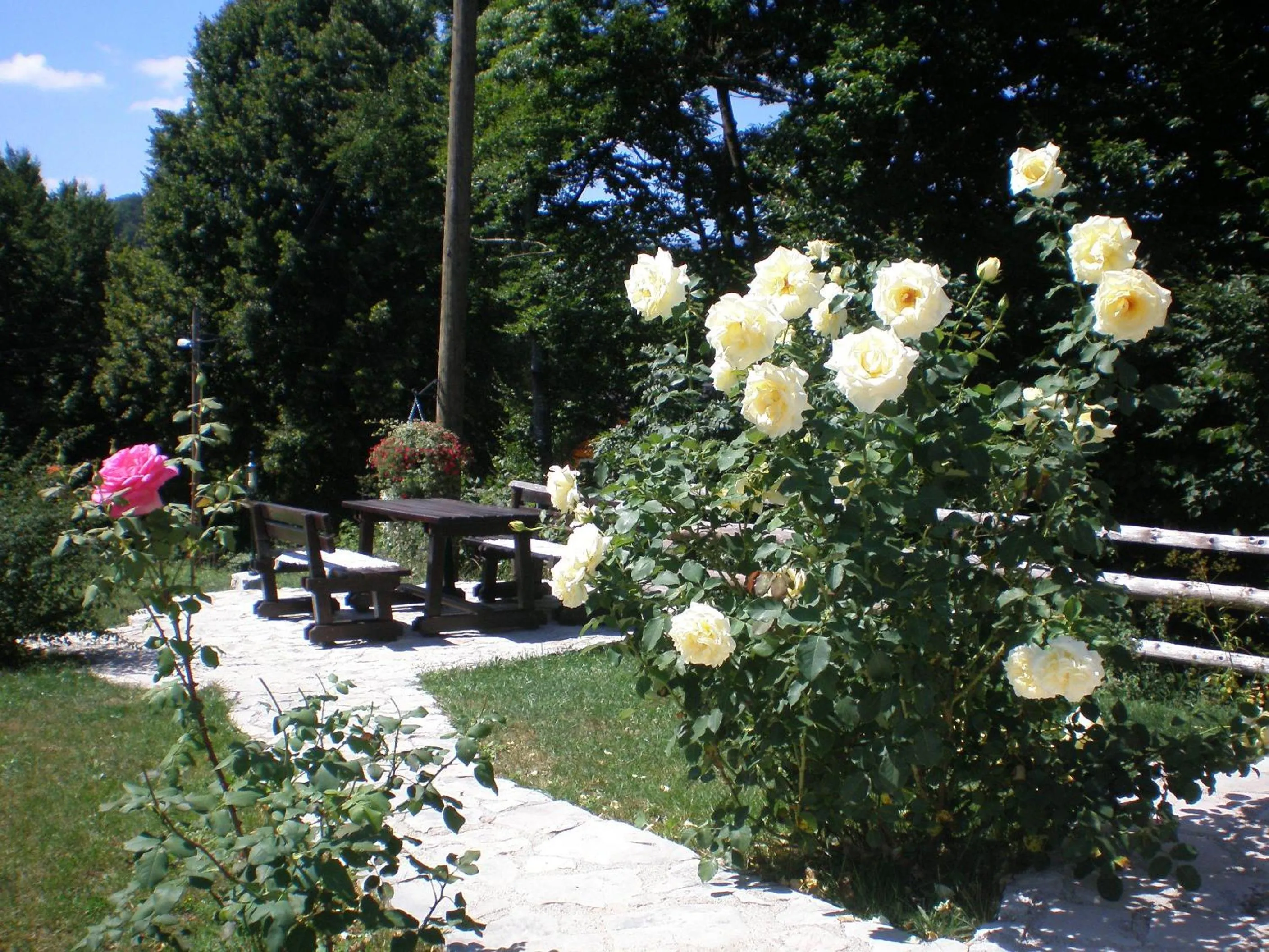 Day in Villa Lykos Plitvice