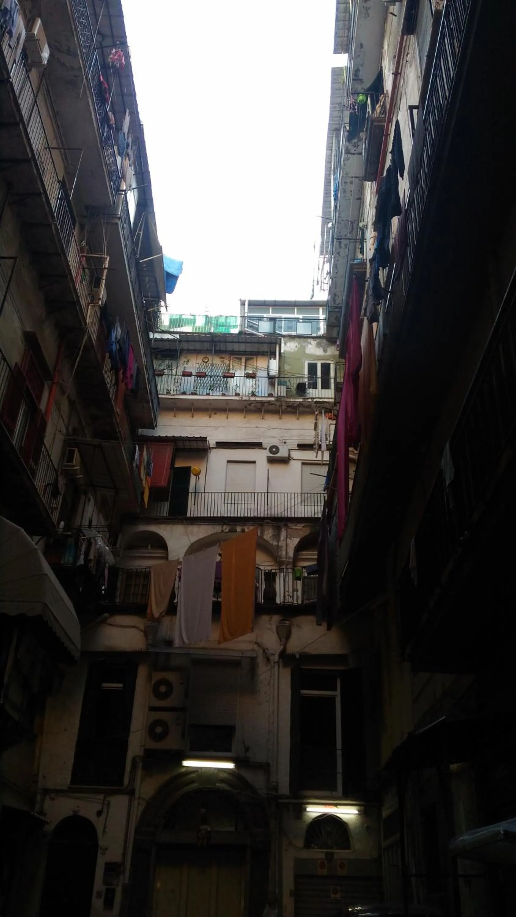 Luisa's Houses