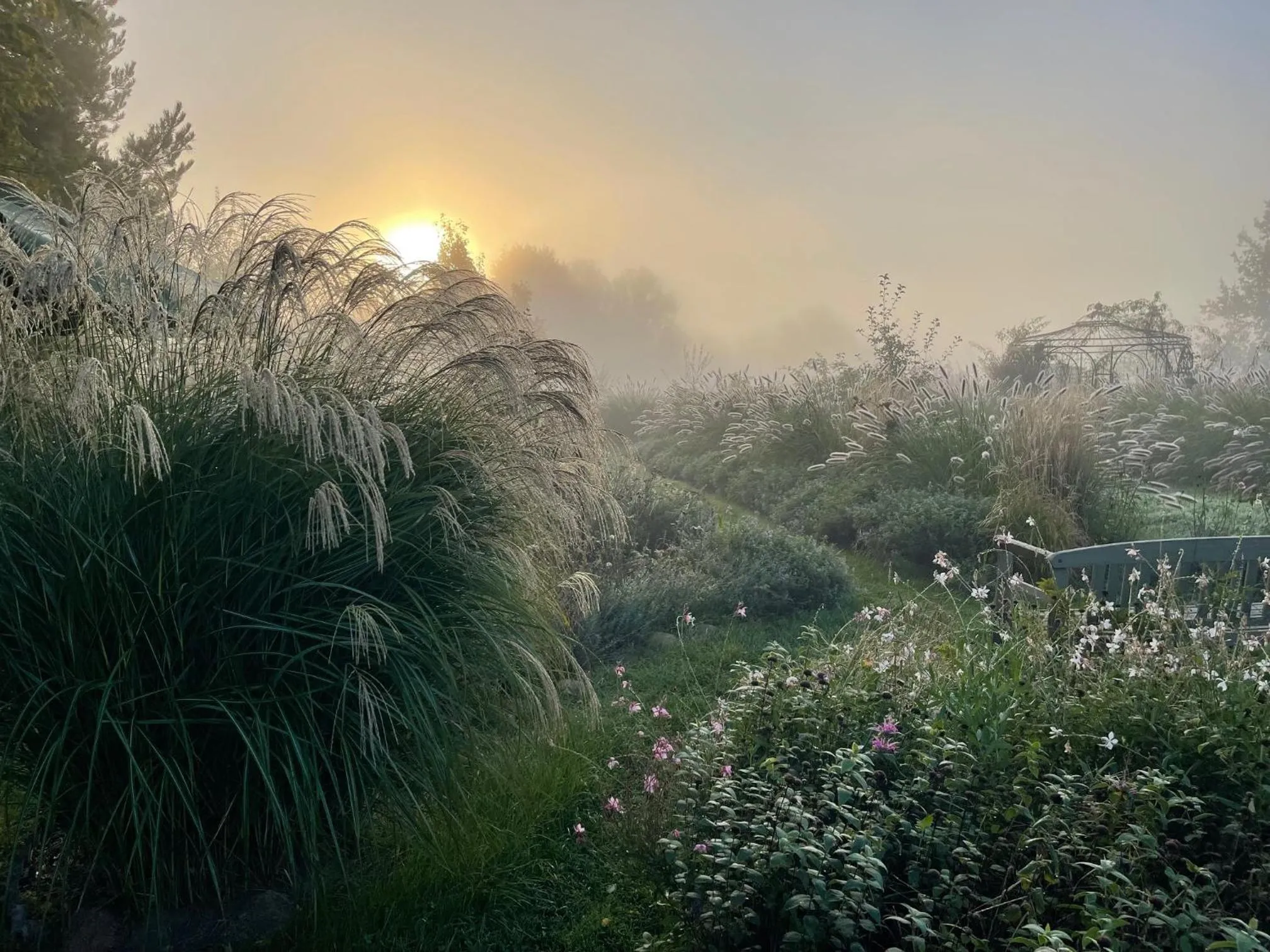 Garden in Alwine - Landhaus an den Spreewiesen