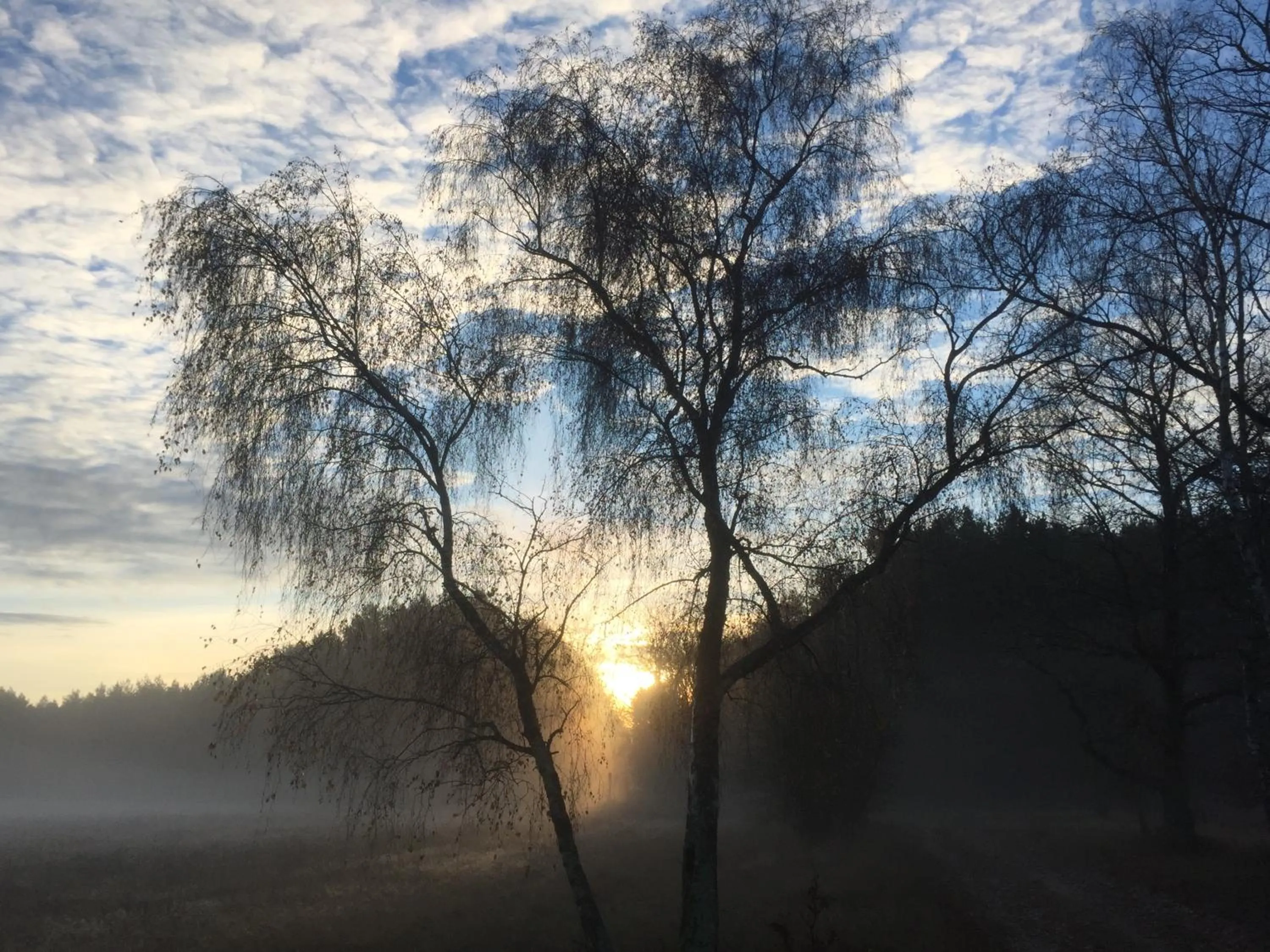 Natural landscape in Alwine - Landhaus an den Spreewiesen