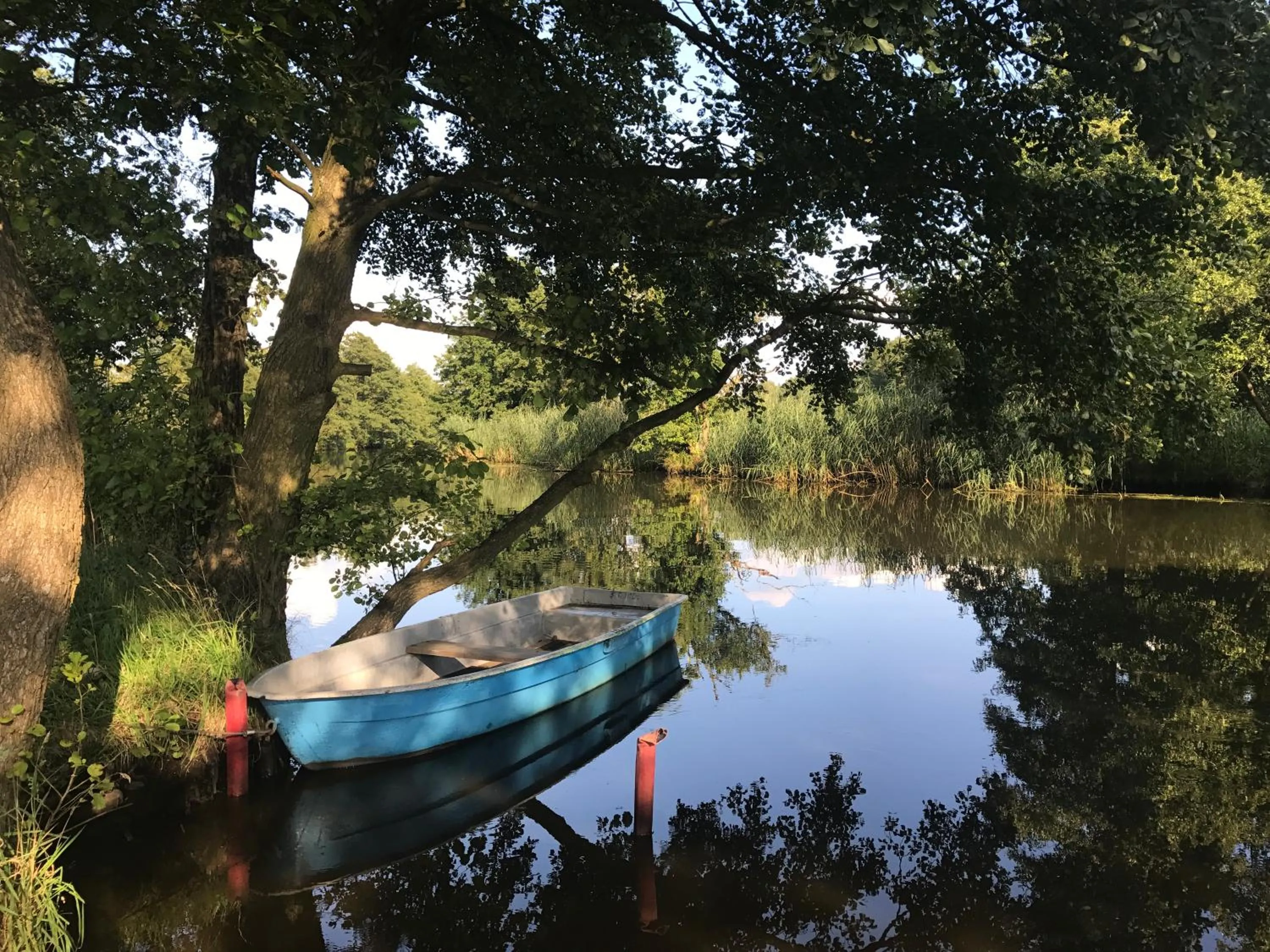 Other in Alwine - Landhaus an den Spreewiesen