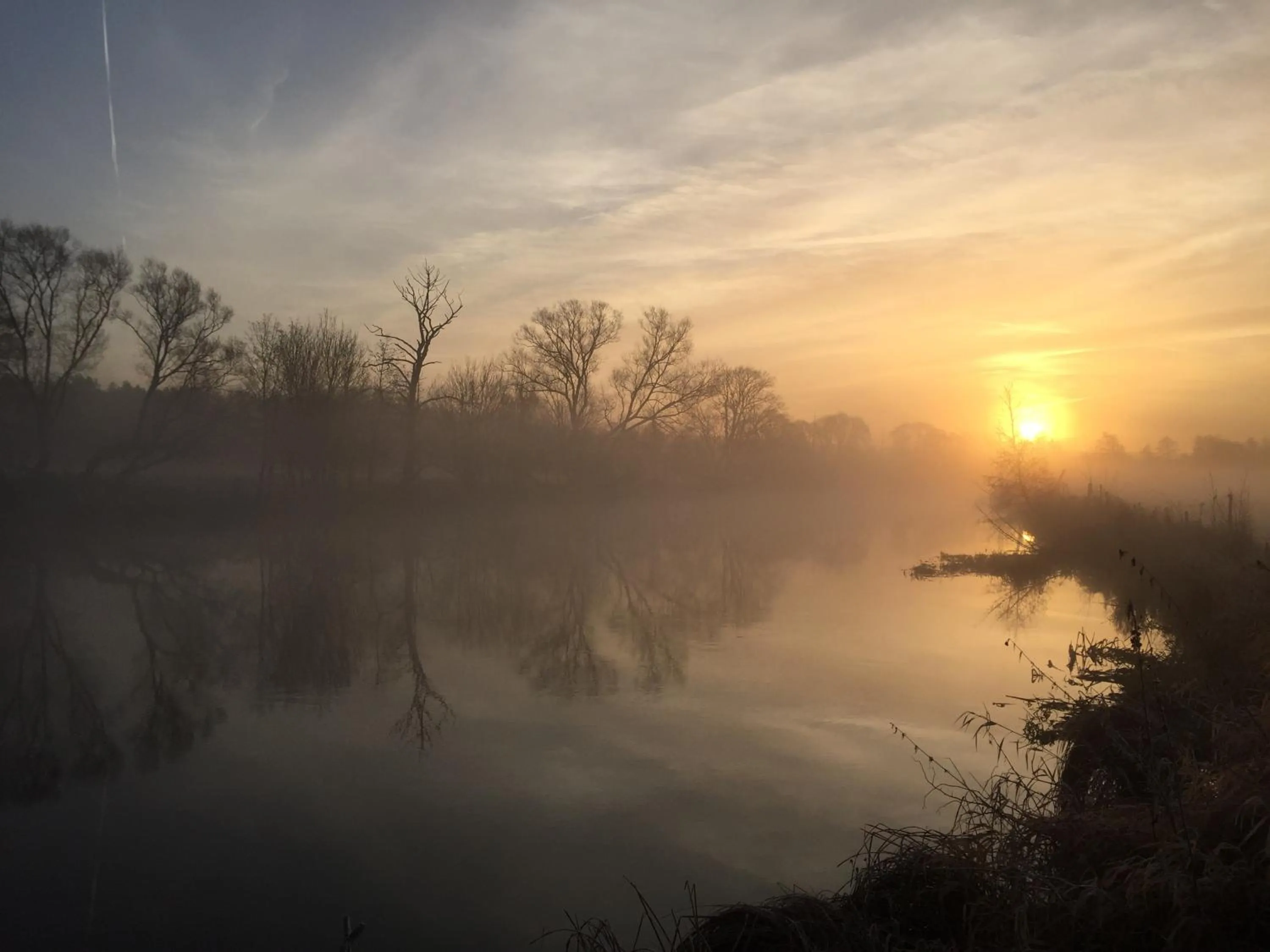 Natural landscape in Alwine - Landhaus an den Spreewiesen