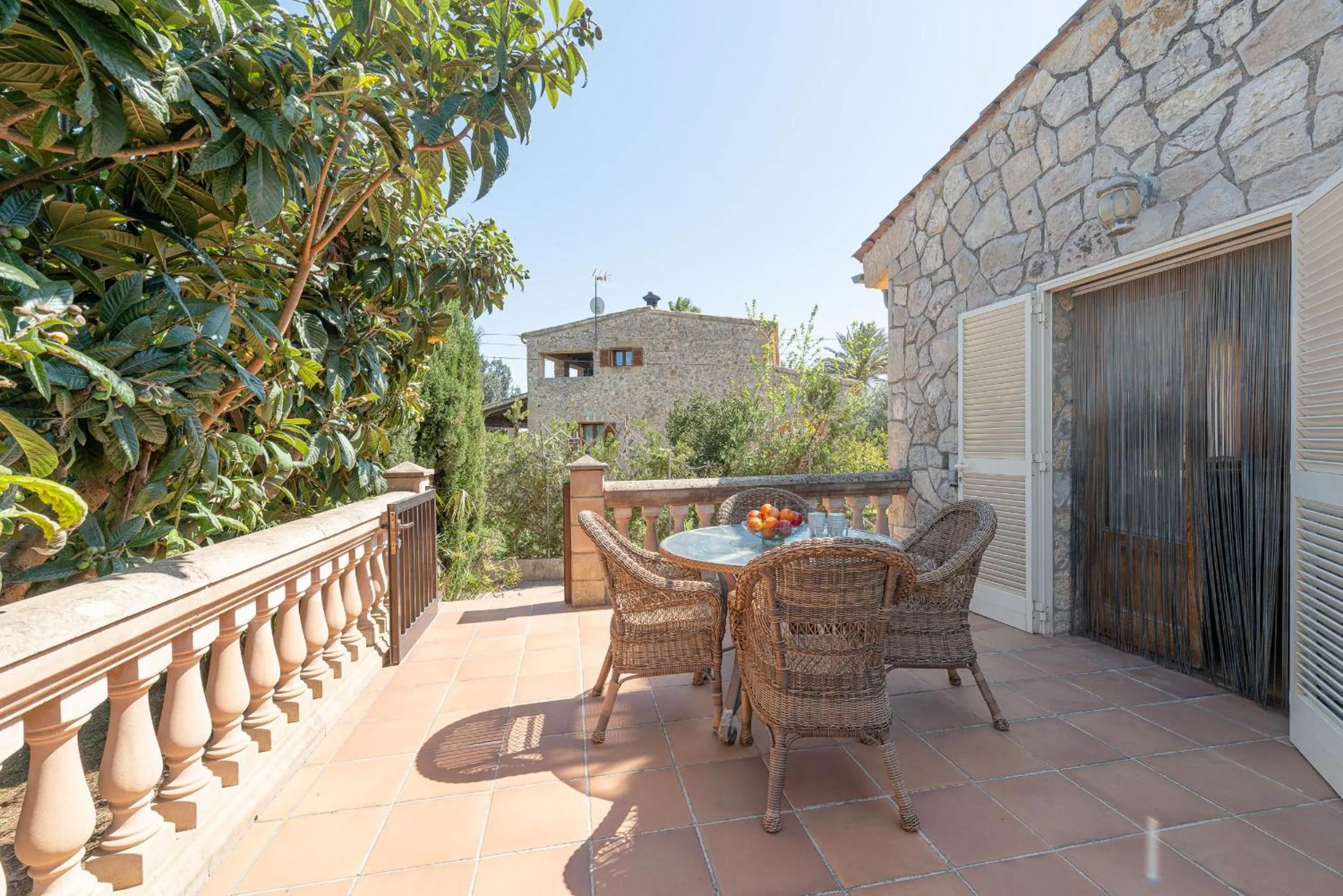 Other in Vivienda Isabela