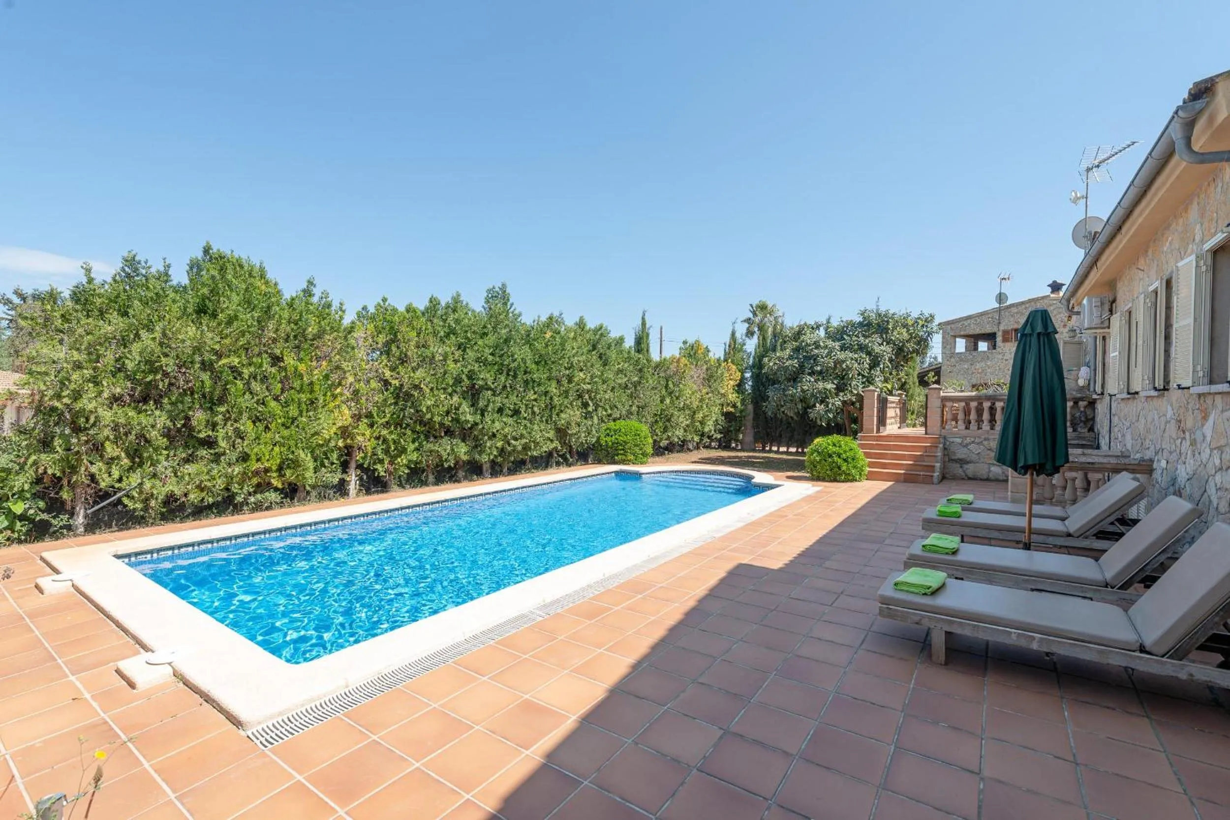 Other in Vivienda Isabela