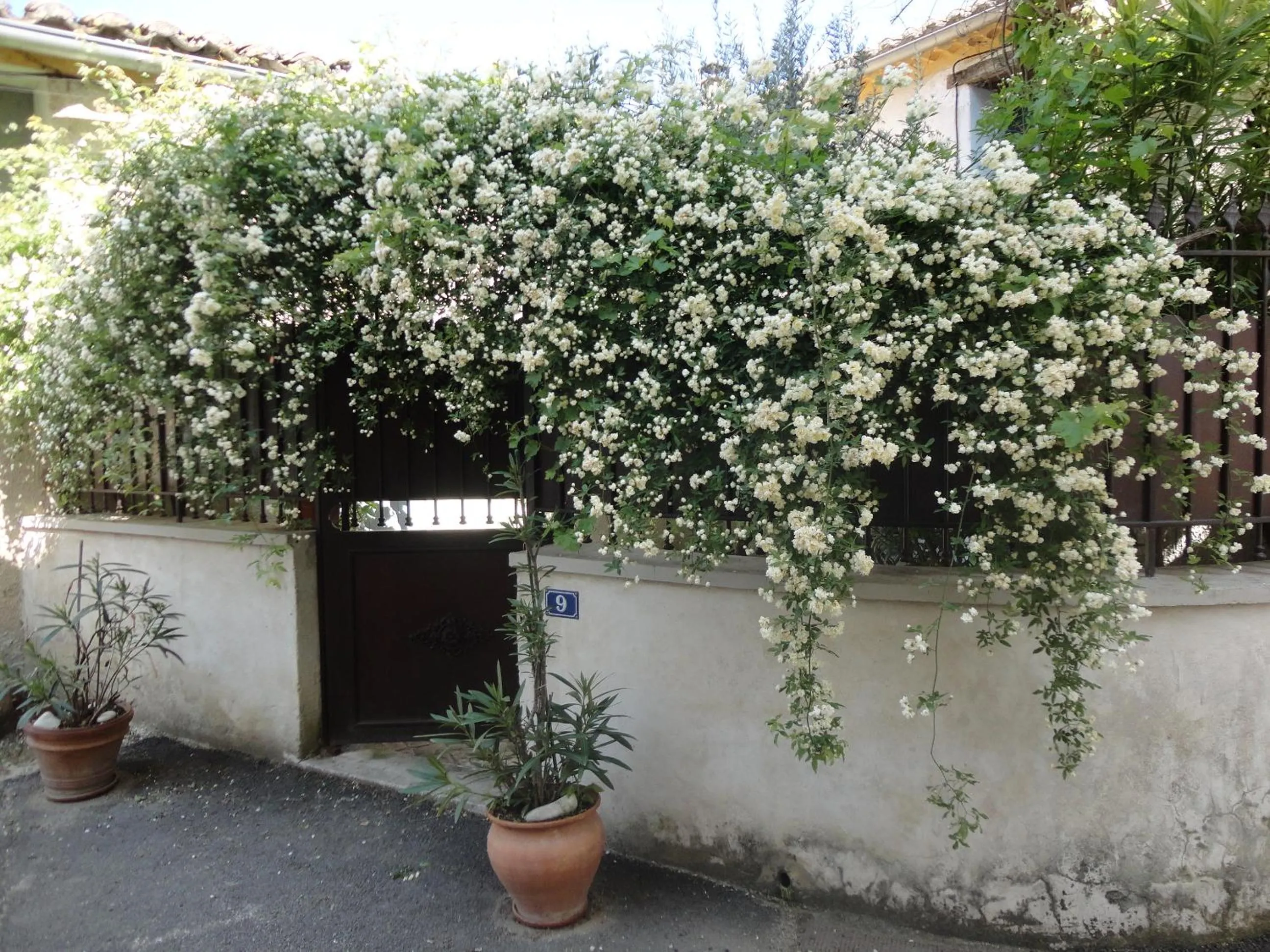 Property building in Alheuredusud