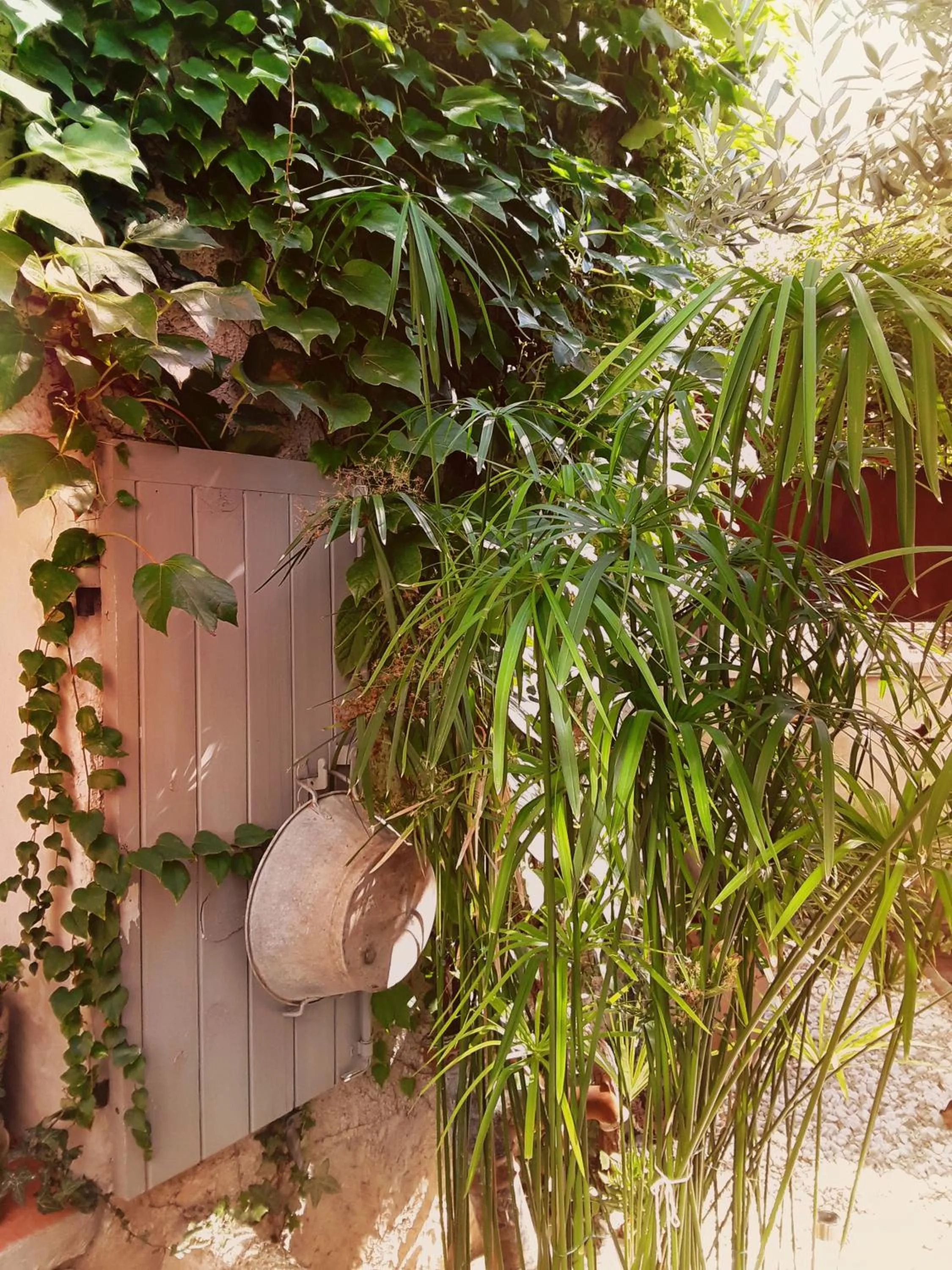 Other in Alheuredusud