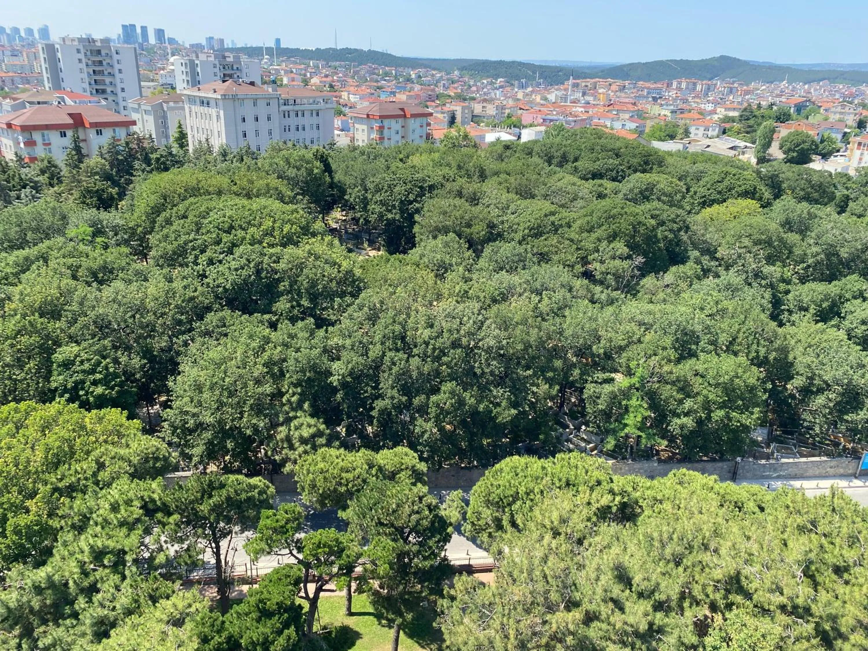 Garden view in Zin D Home Dudullu Otel