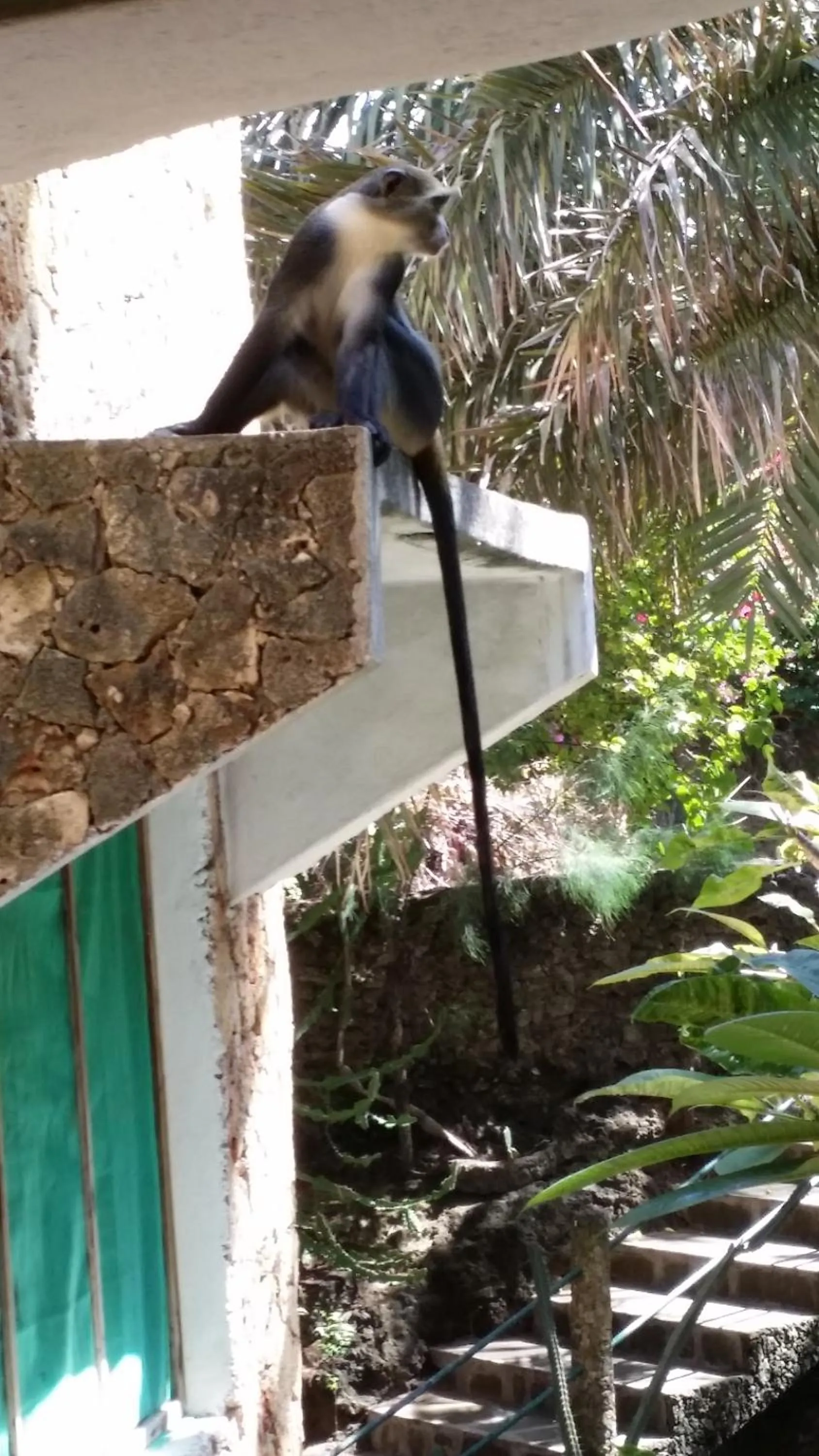 Property building in Marijani Holiday Resort